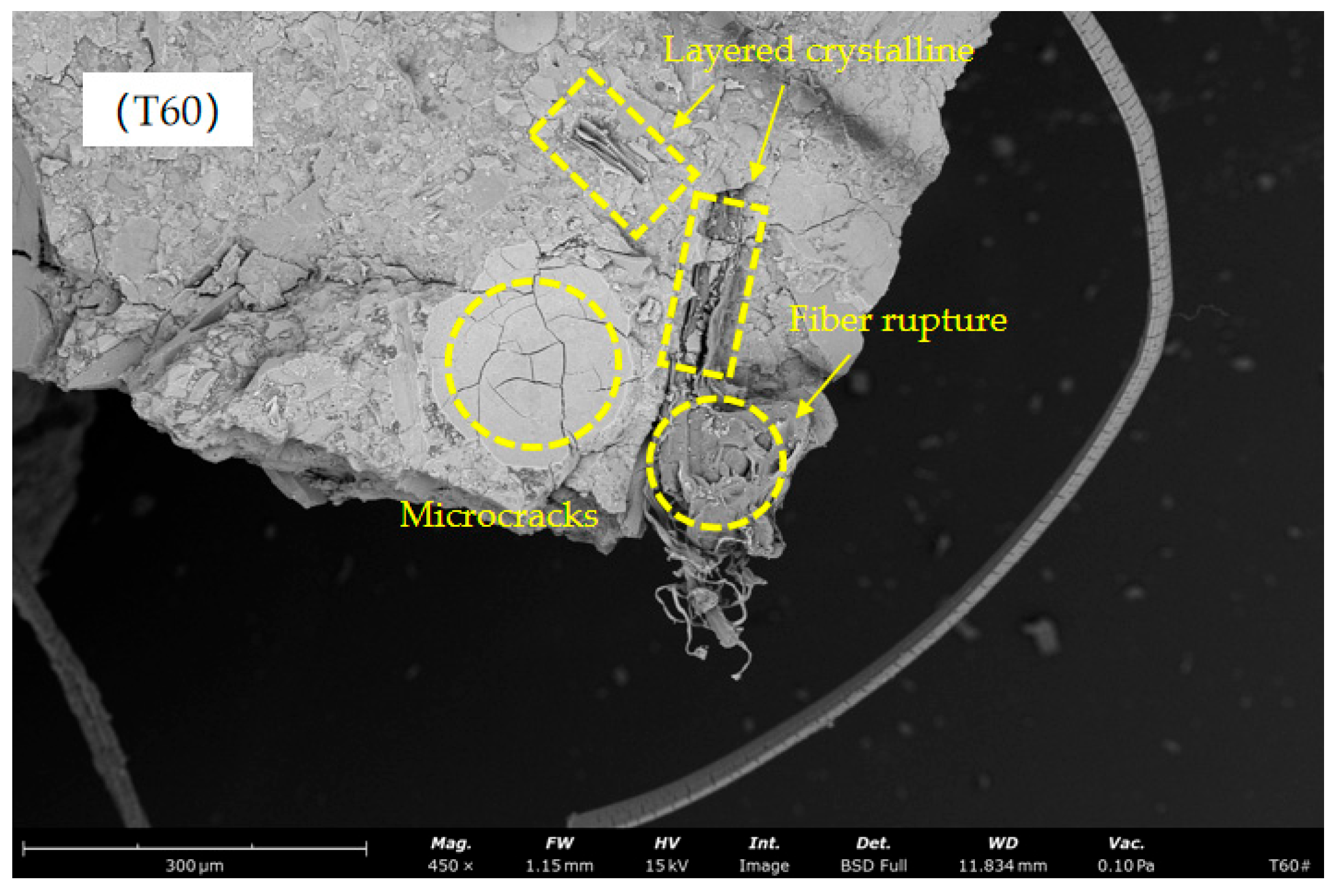Materials 17 04011 g020b