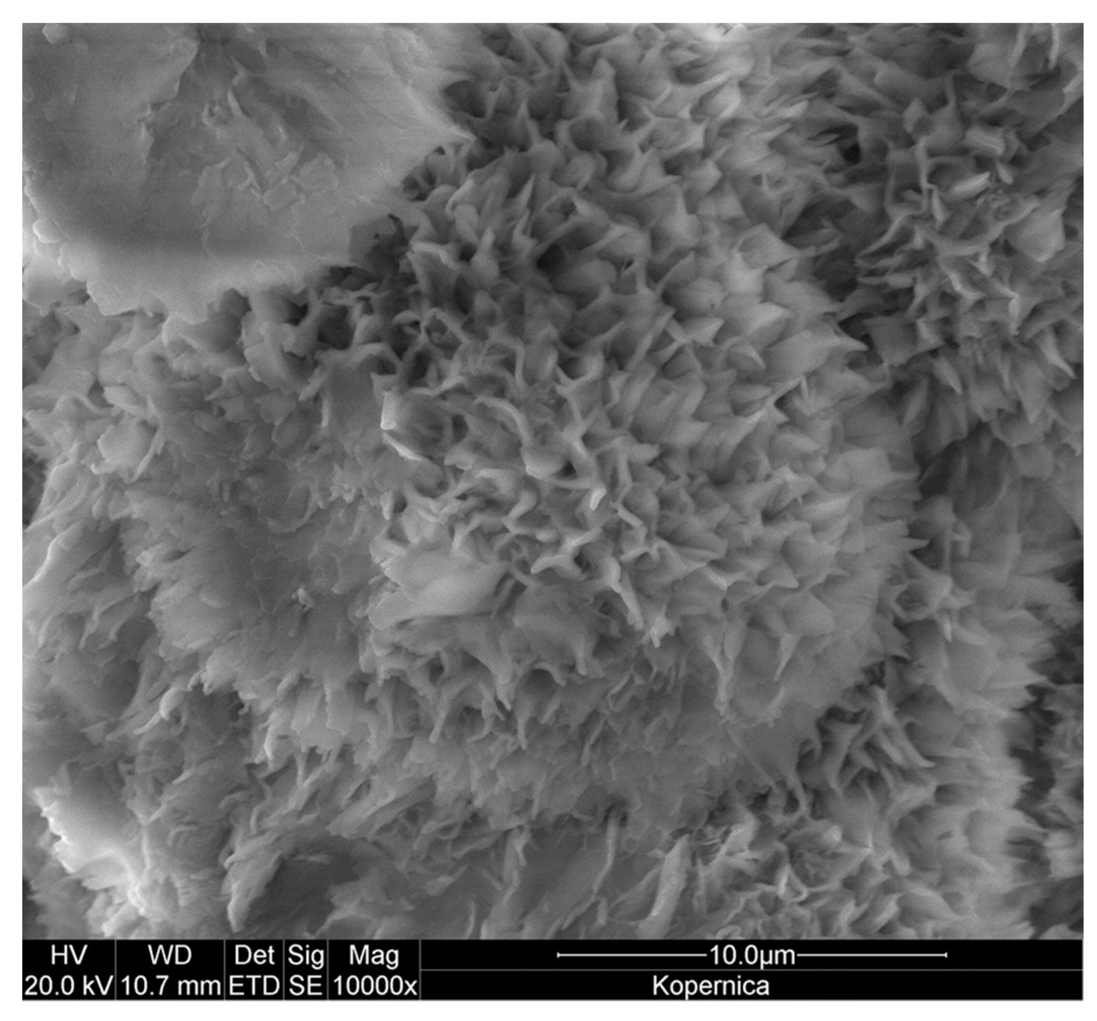 Materials 17 04036 g005