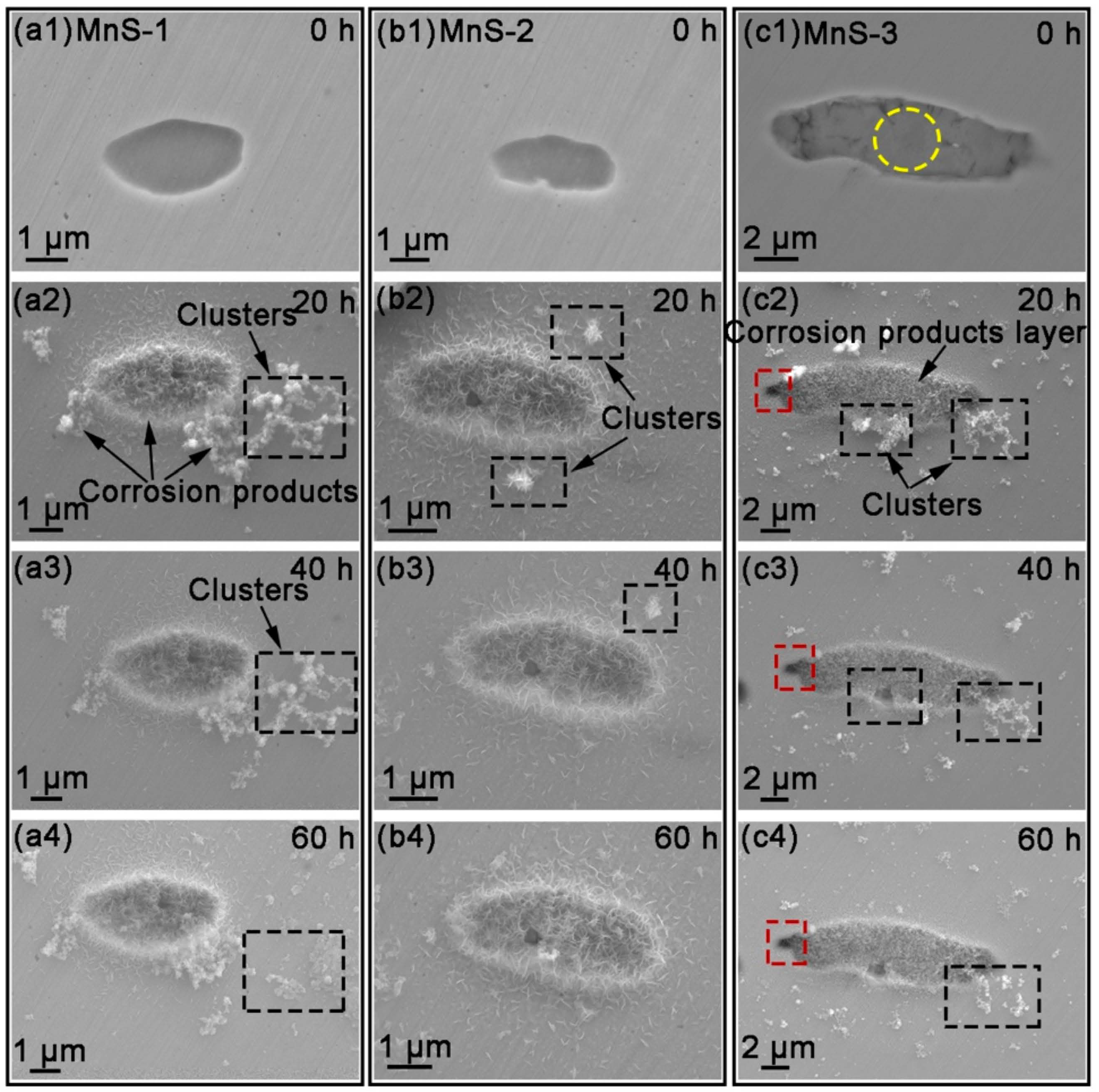 Materials 17 04050 g003