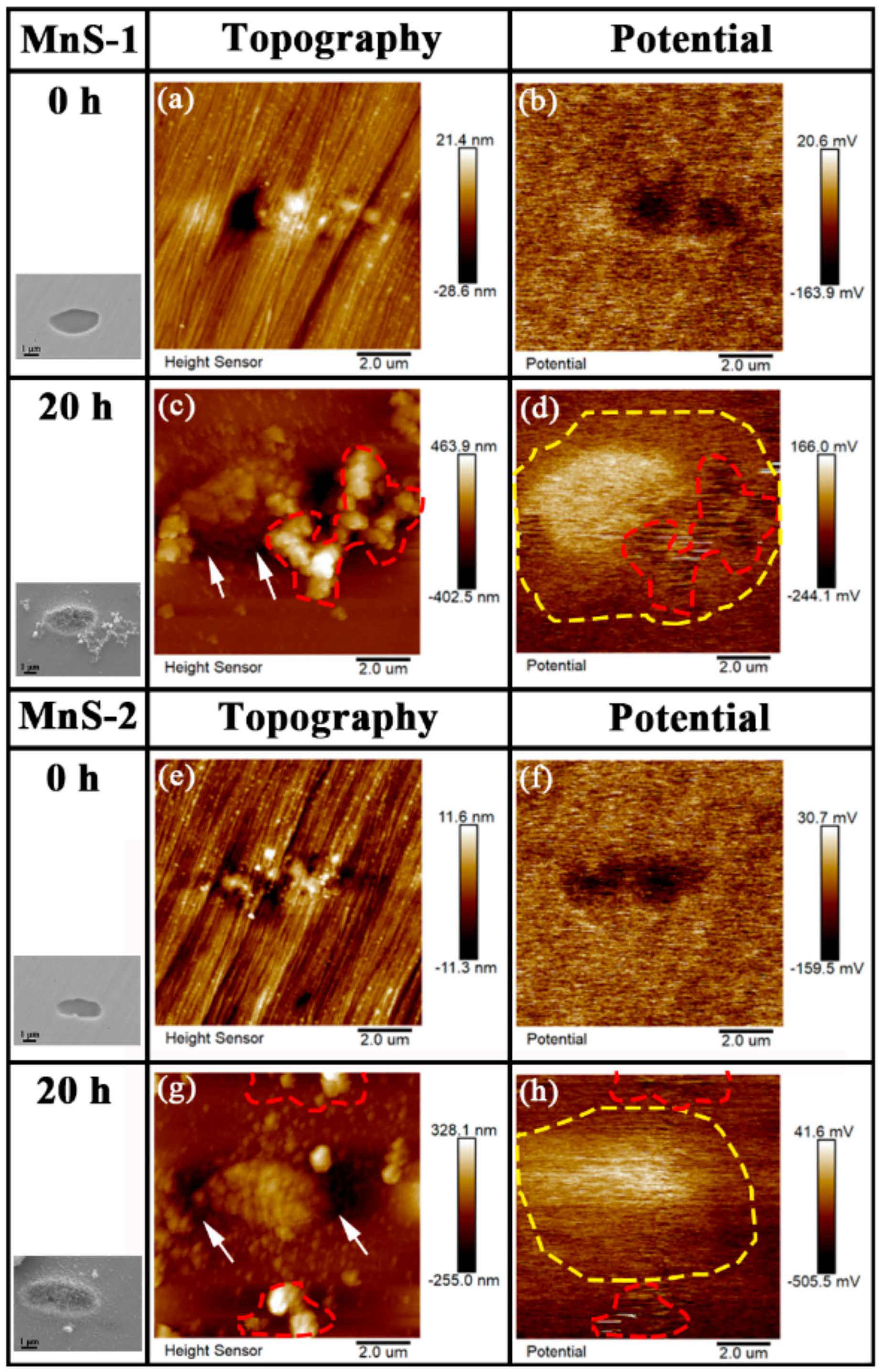 Materials 17 04050 g007
