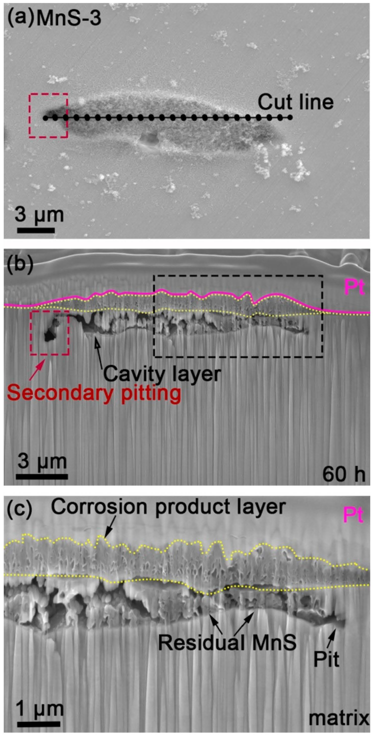 Materials 17 04050 g008