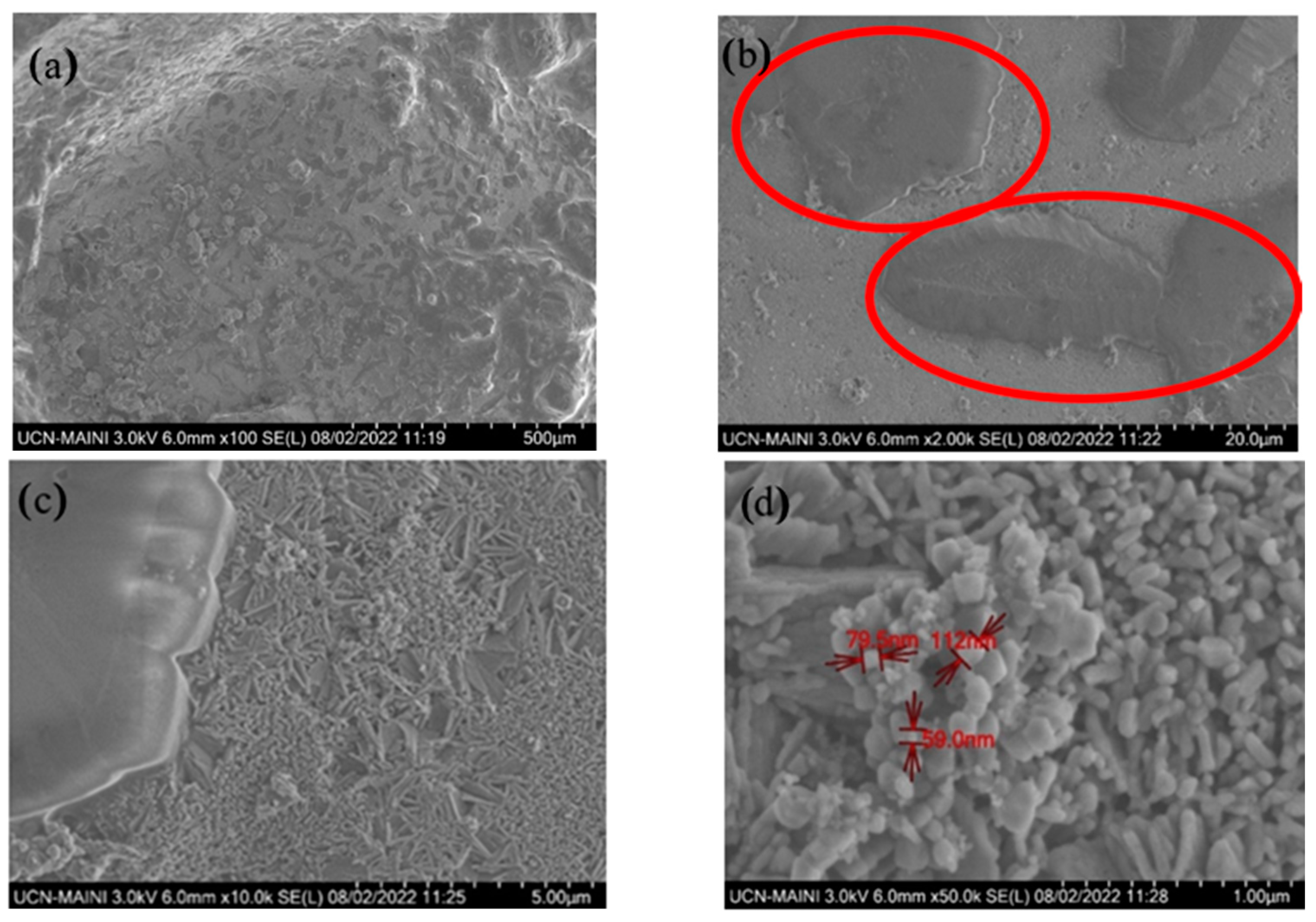 Materials 17 04053 g009