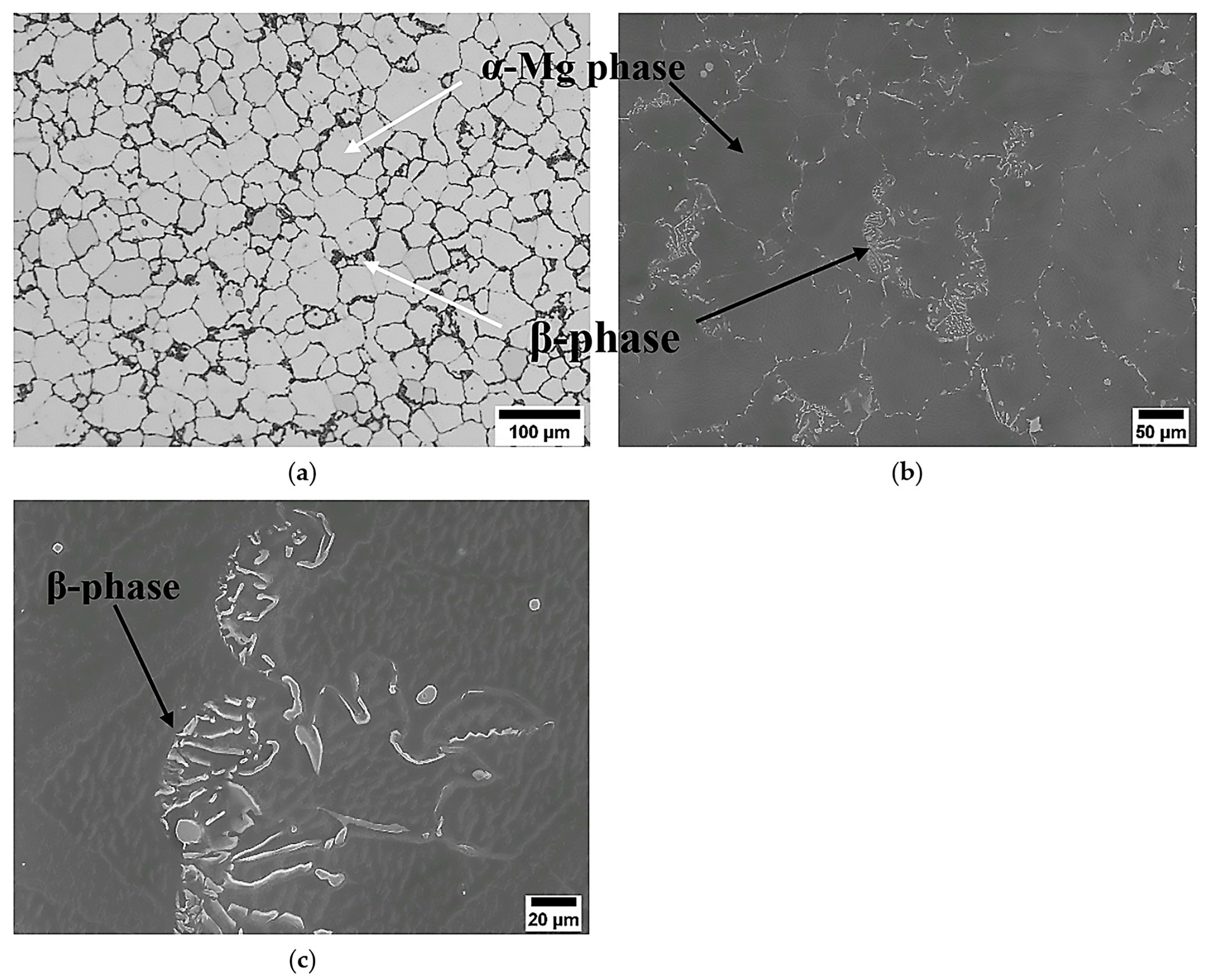 Materials 17 04072 g002