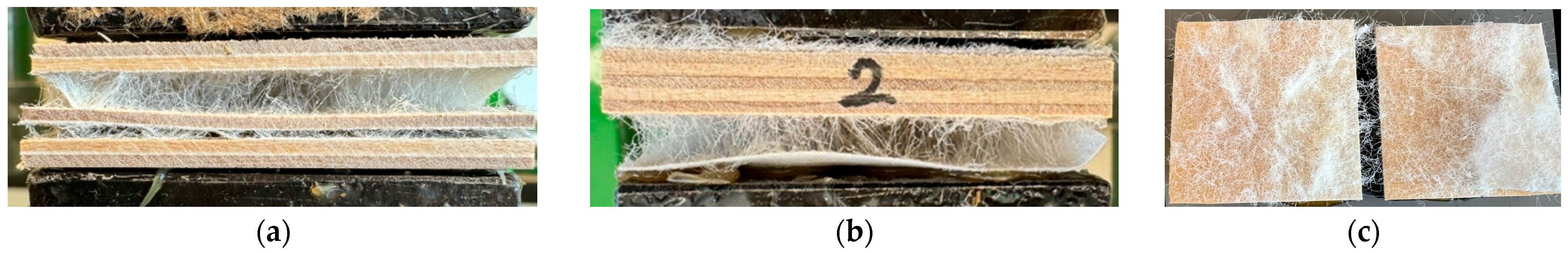 Materials 17 04080 g005