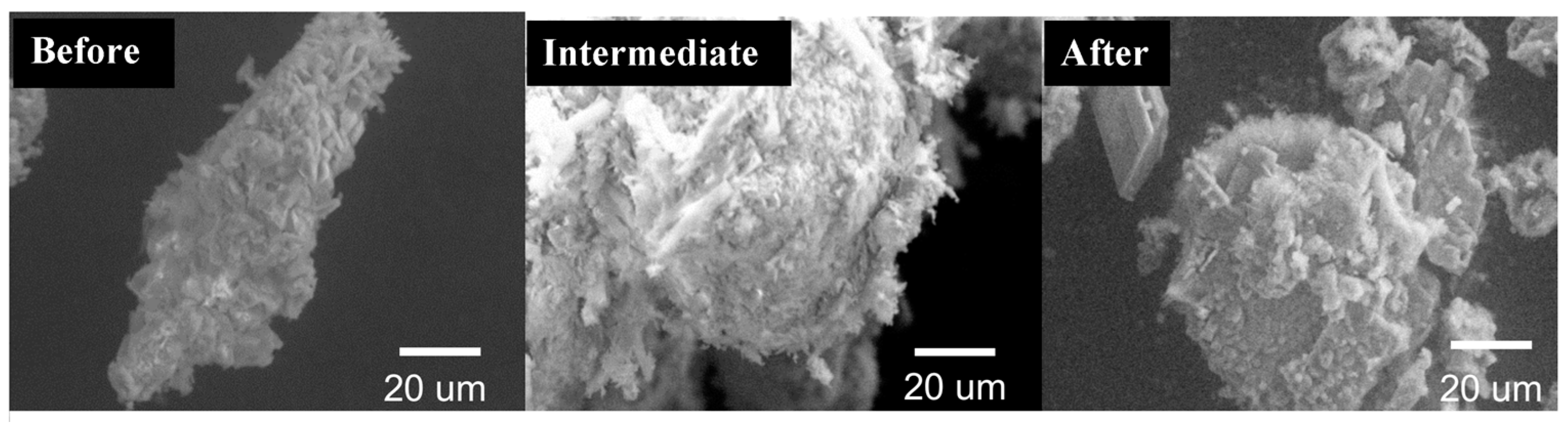 Materials 17 04086 g005