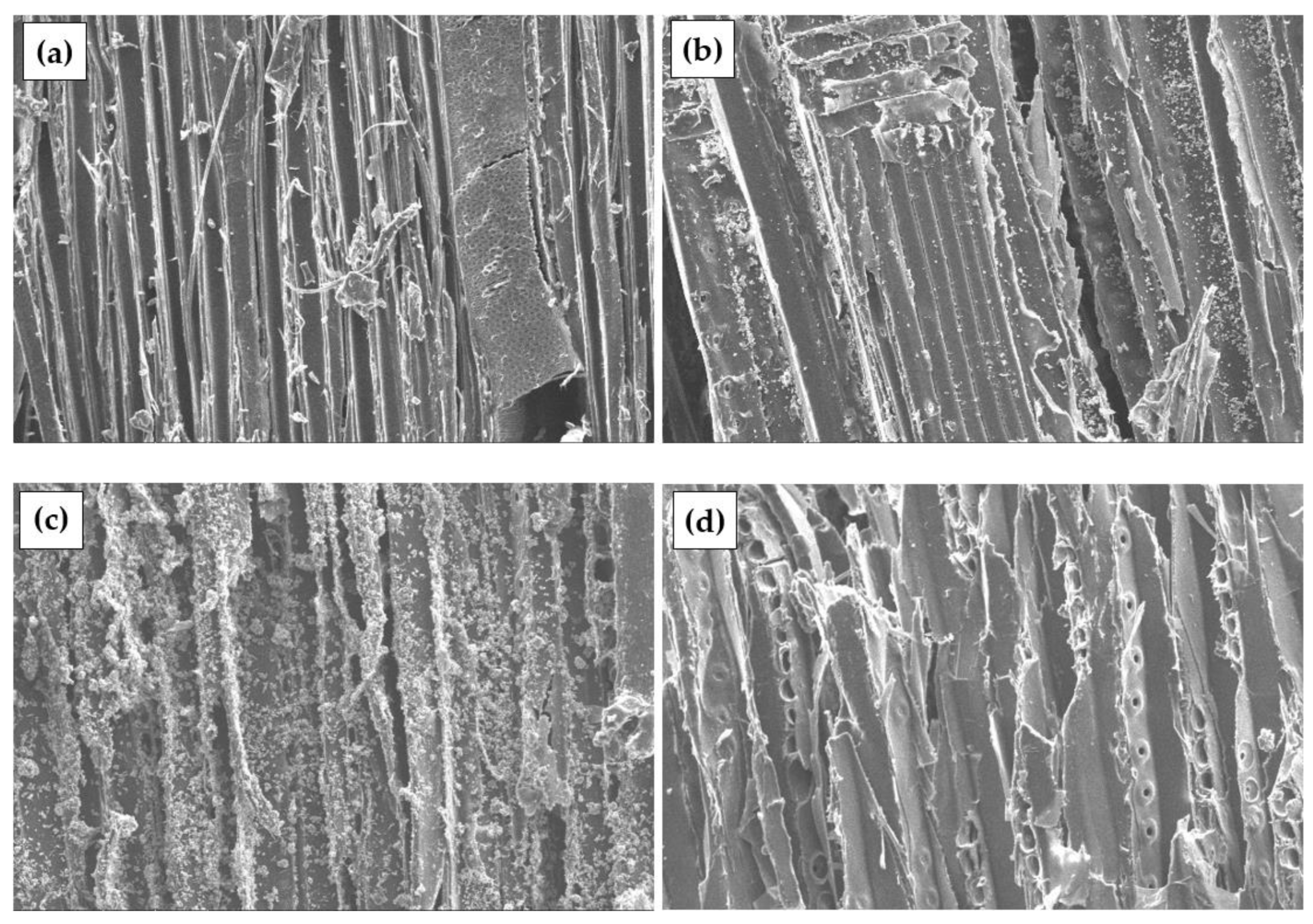 Materials 17 04087 g006