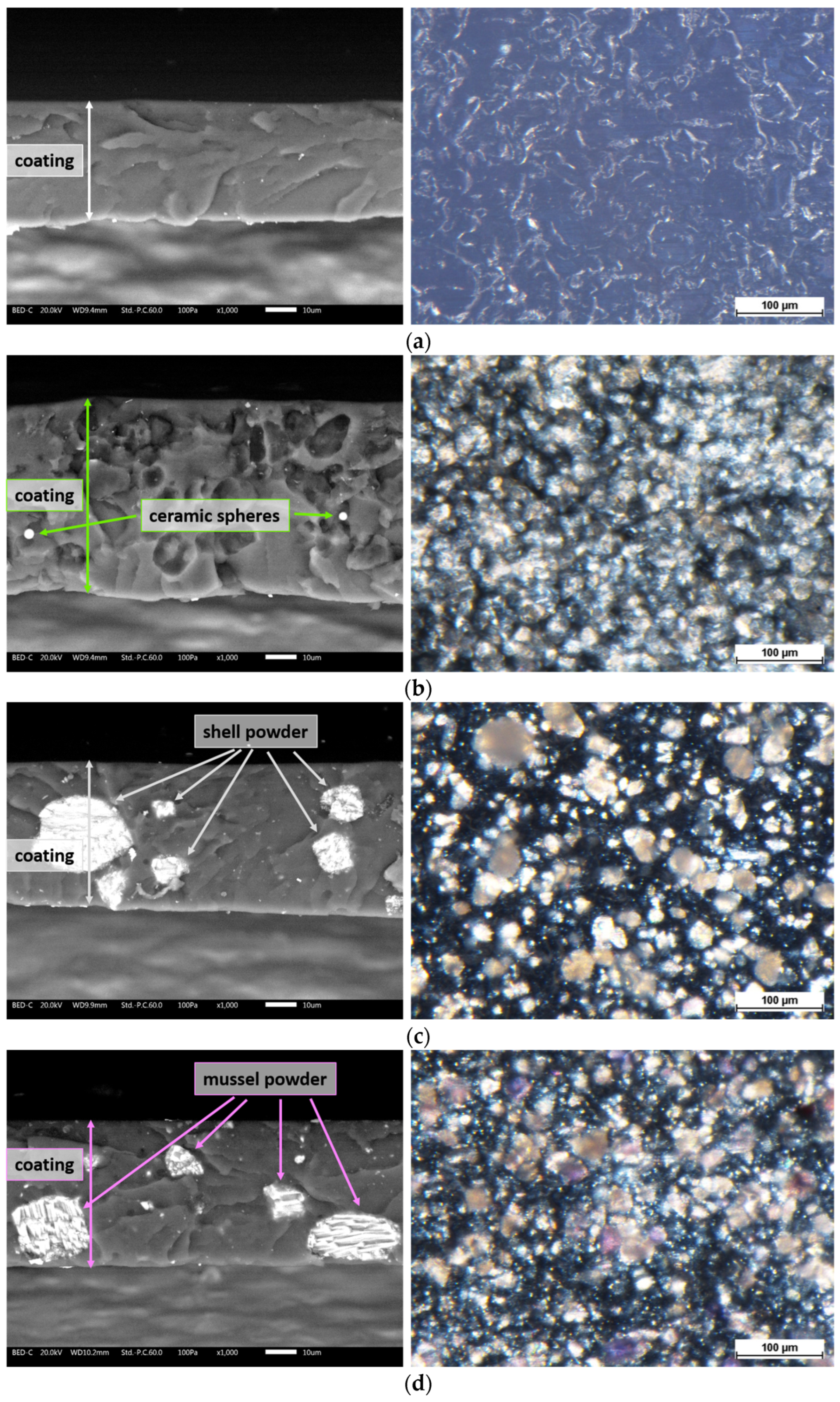 Materials 17 04134 g004