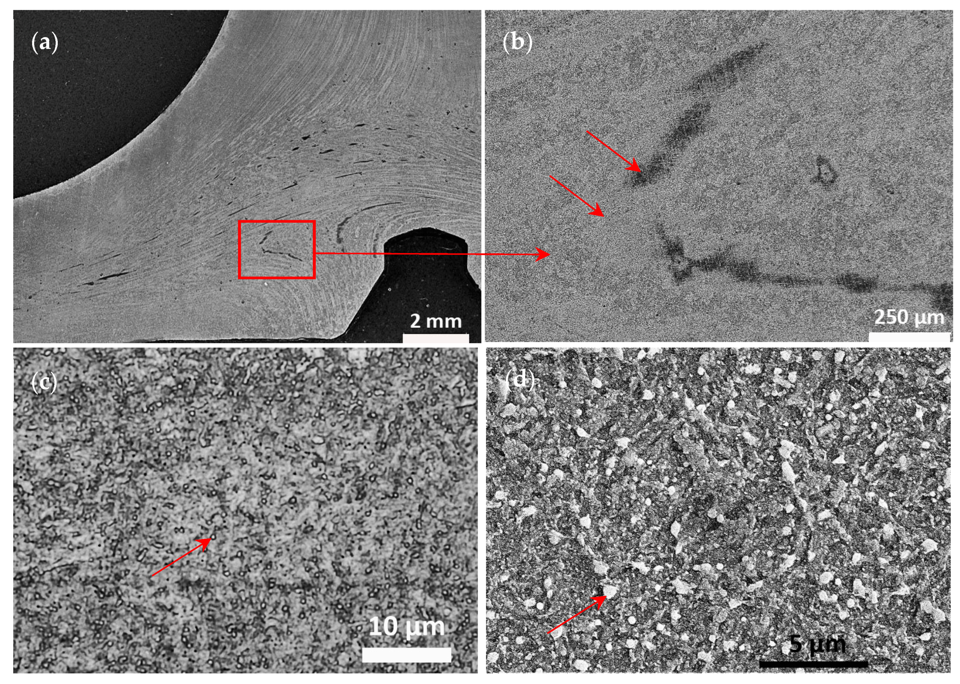 Materials 17 04156 g011 Materials 17 04156 g011