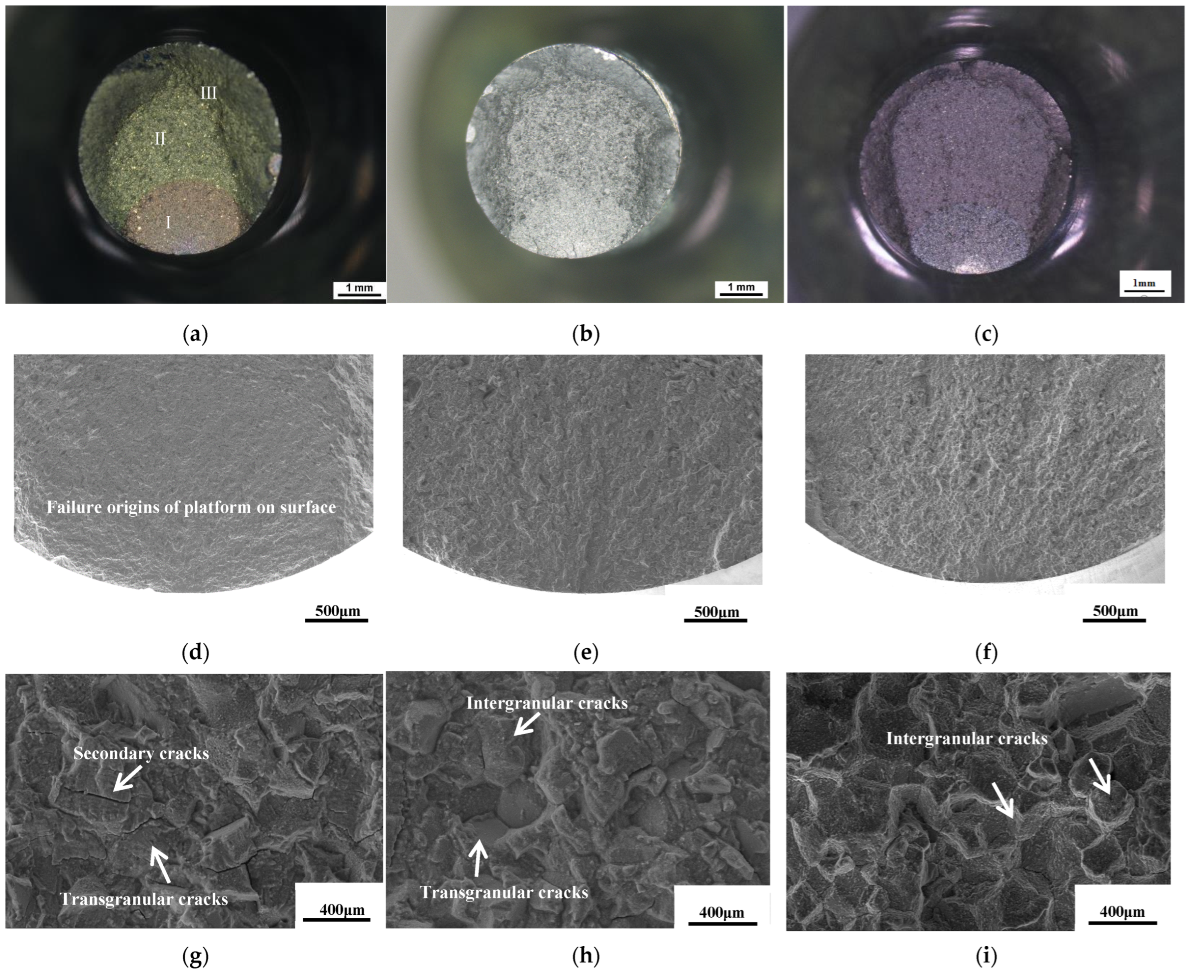 Materials 17 04175 g007