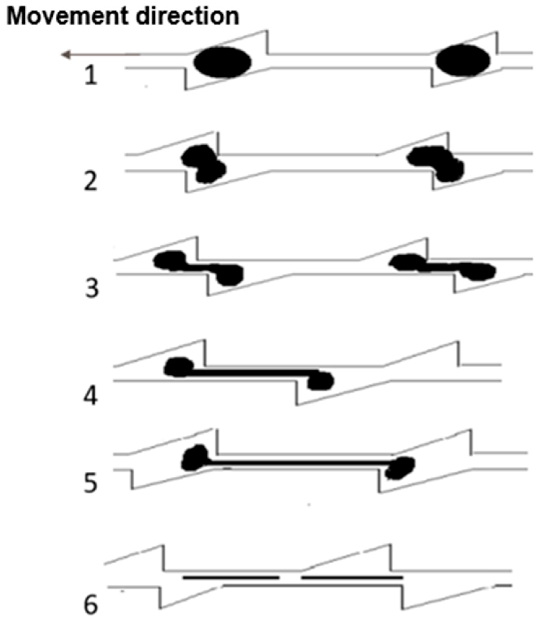 Materials 17 04210 g008