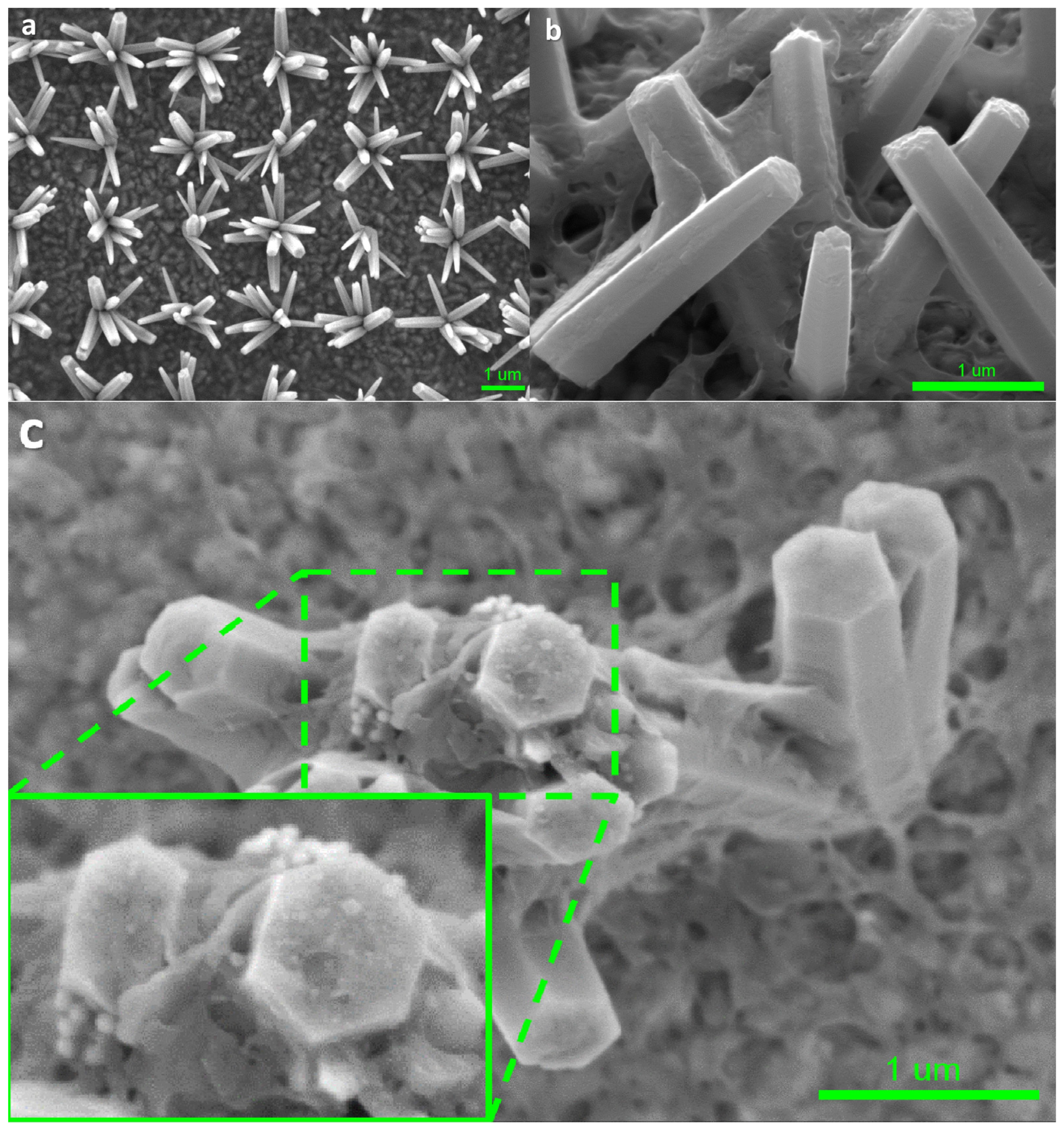 Materials 17 04259 g002