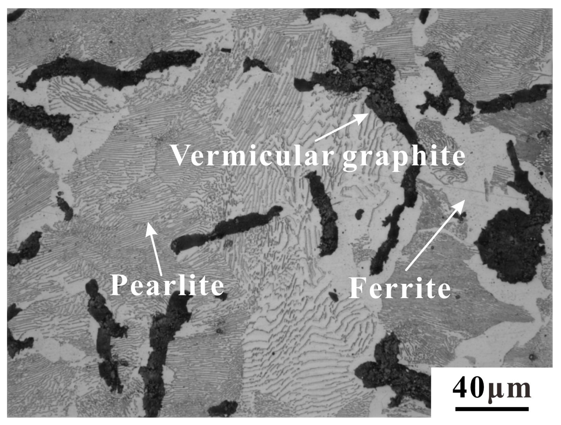 Materials 17 04266 g001