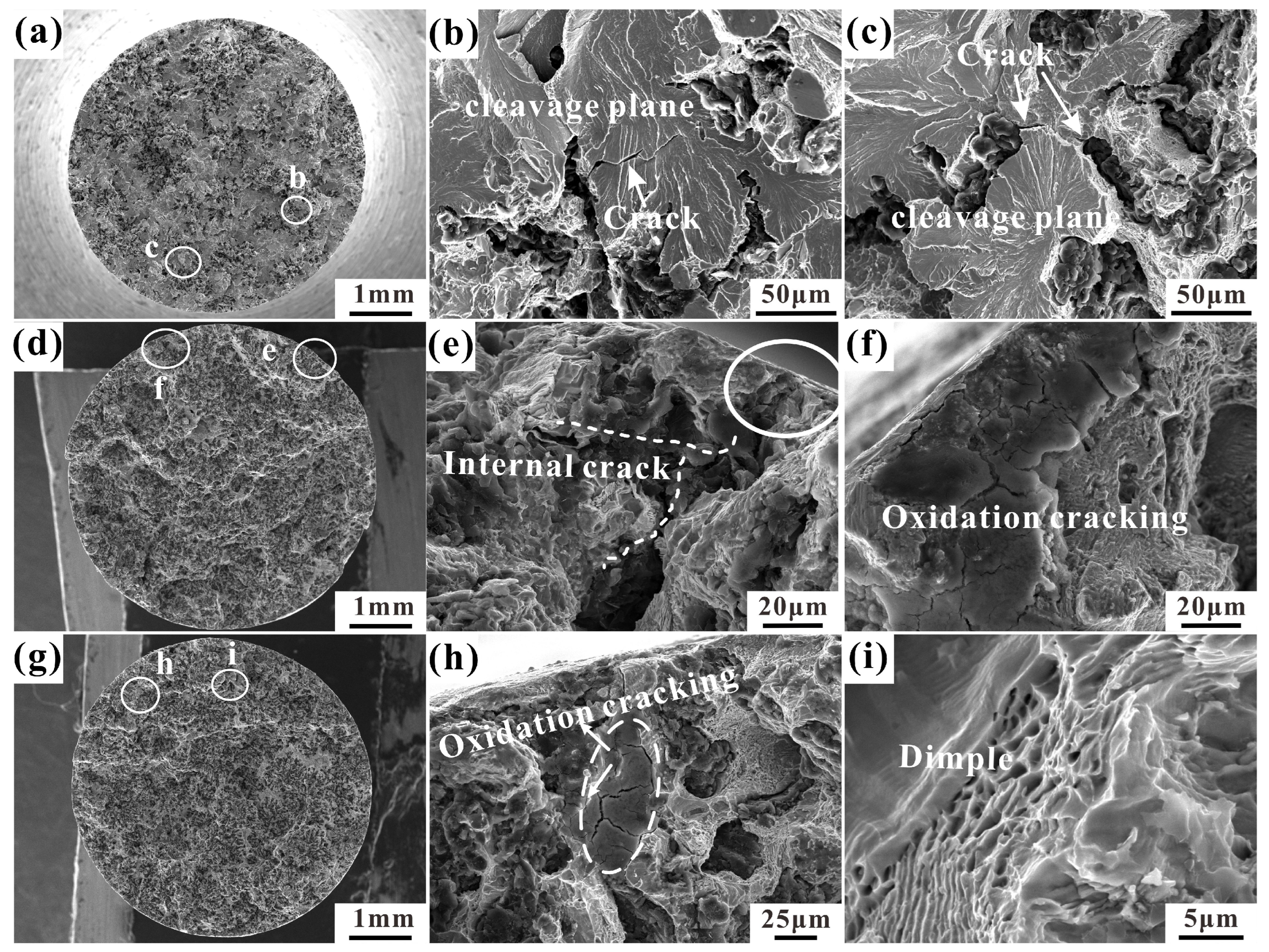 Materials 17 04266 g005