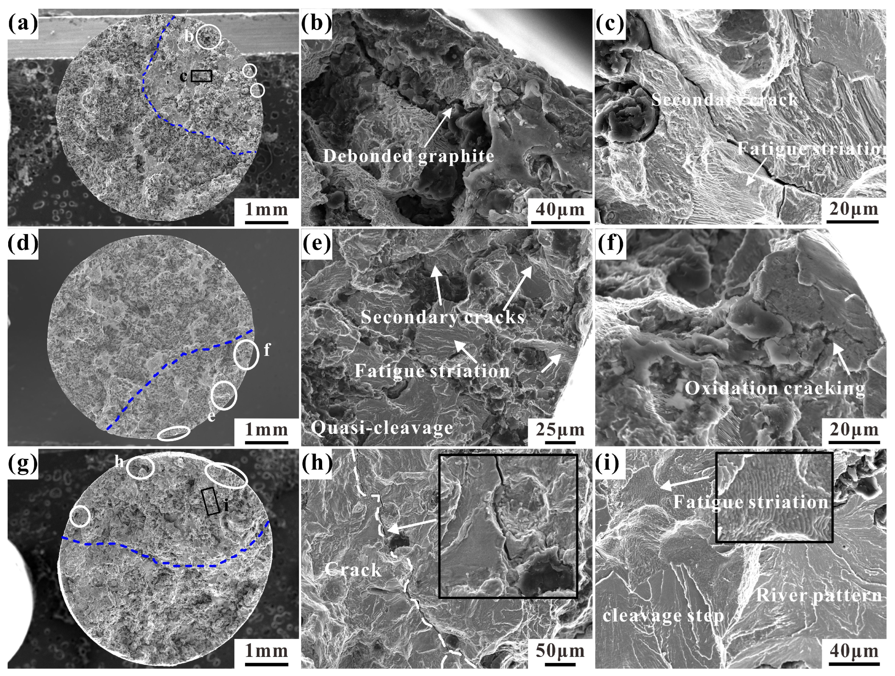 Materials 17 04266 g007