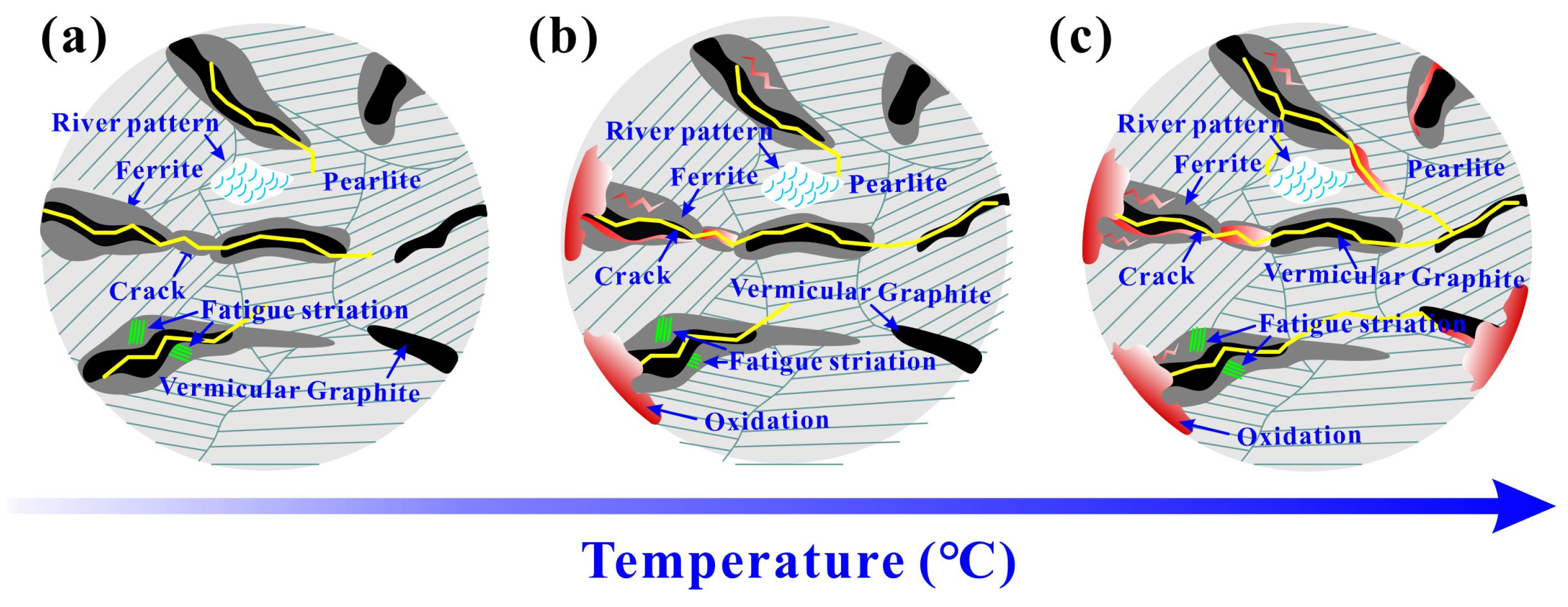 Materials 17 04266 g013