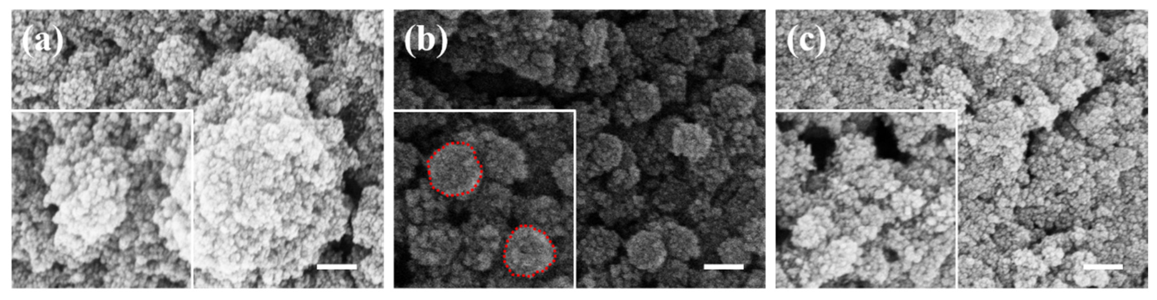 Materials 17 04325 g007