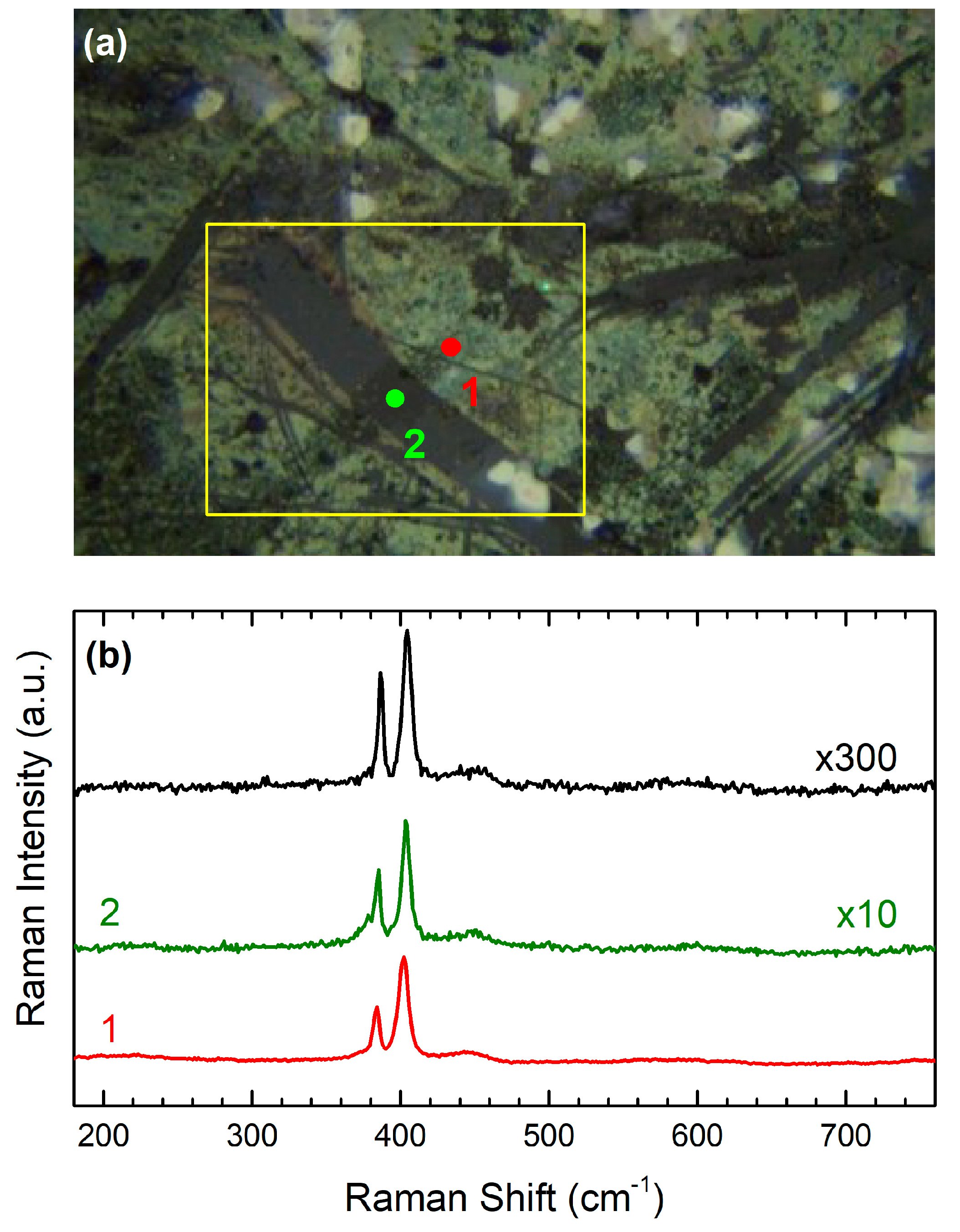 Materials 17 04396 g002