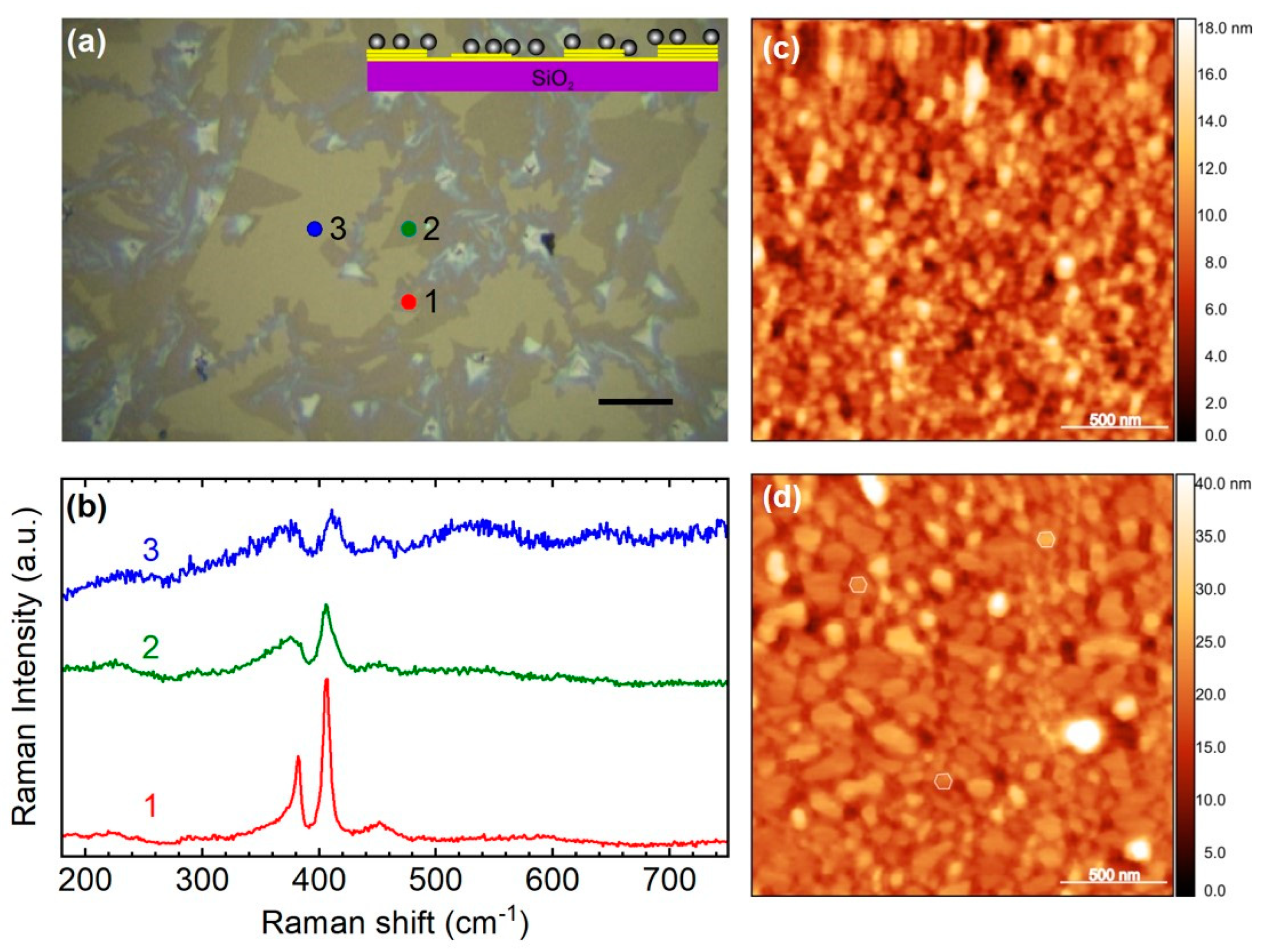 Materials 17 04396 g006