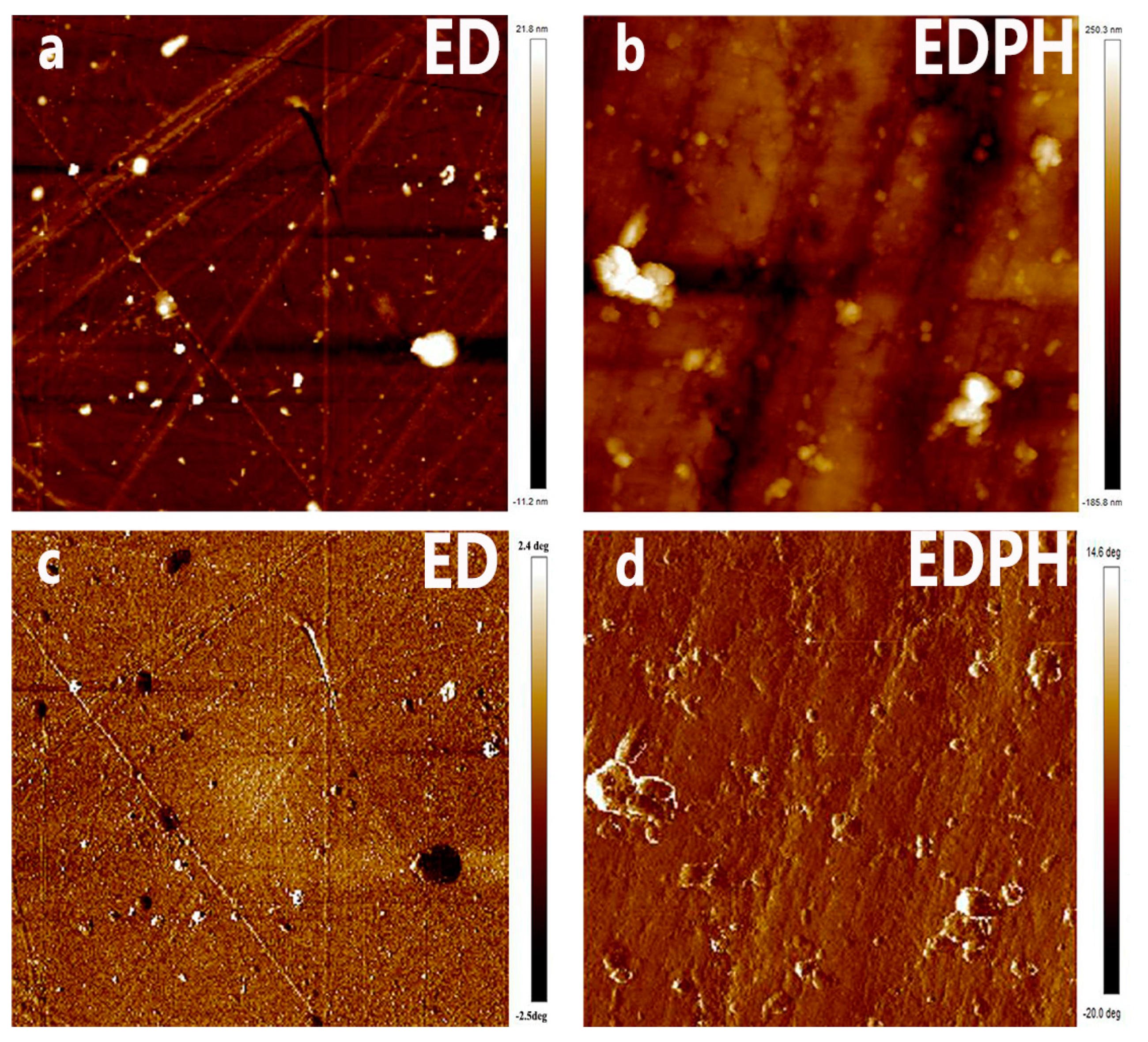 Materials 17 04411 g011