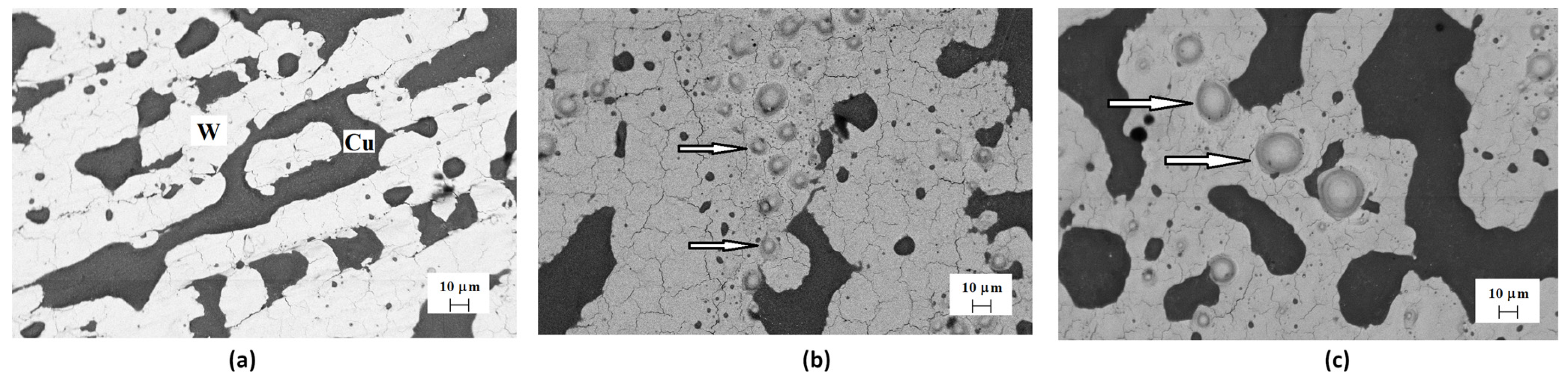 Materials 17 04442 g007