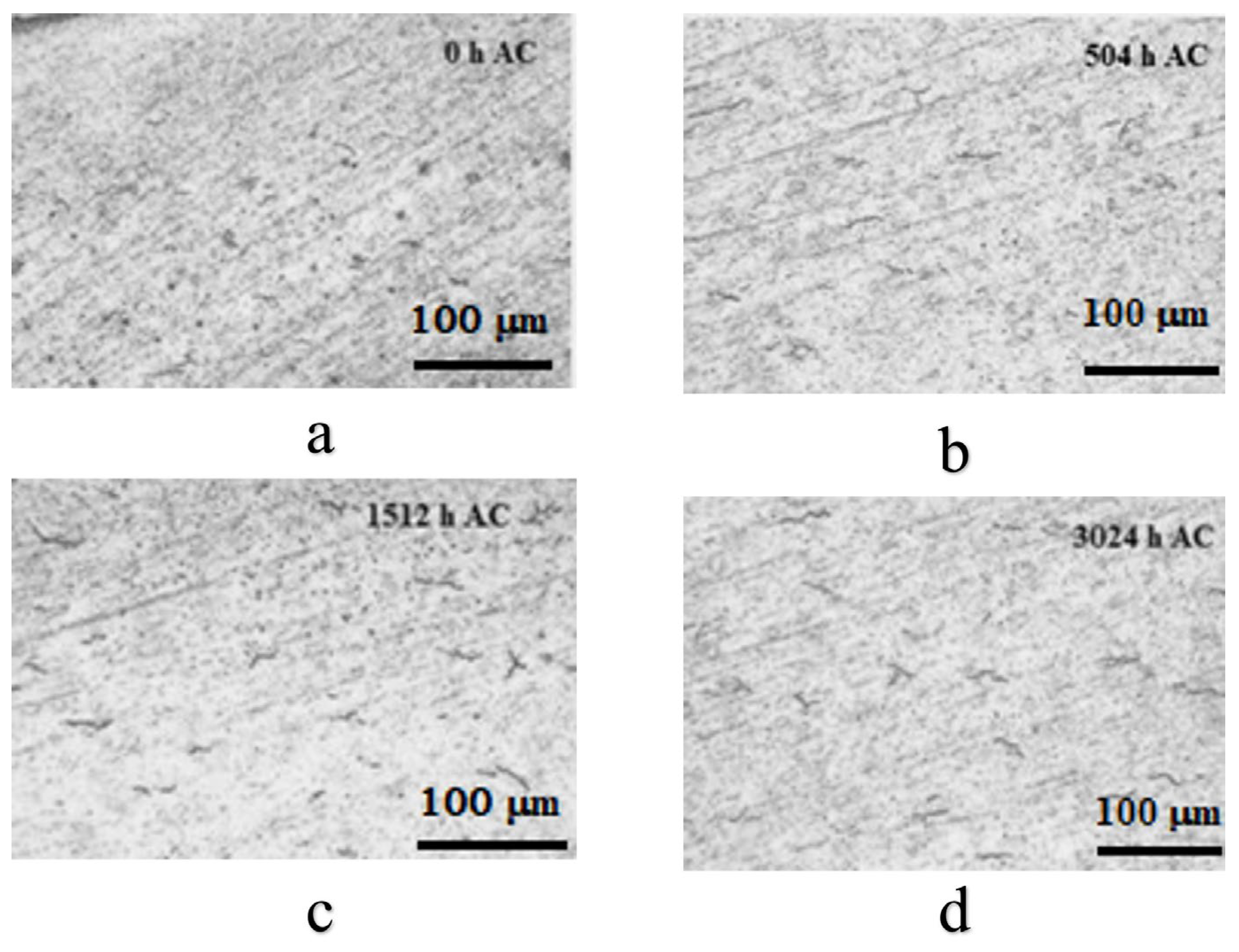 Materials 17 04445 g003
