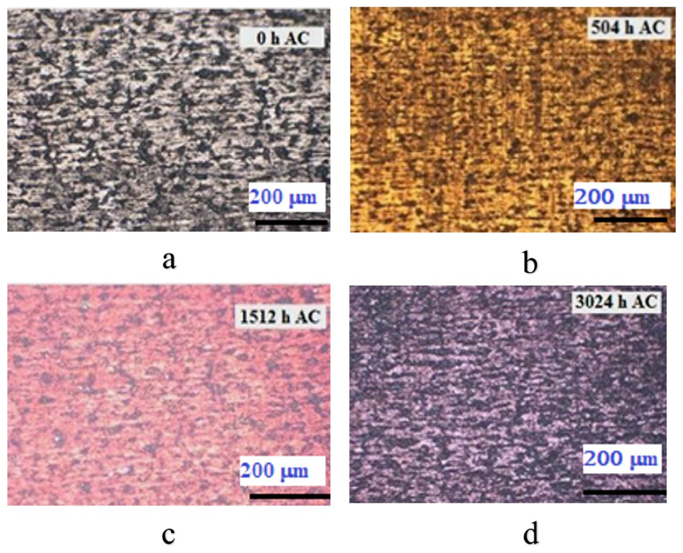 Materials 17 04445 g004