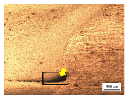 Materials 17 04447 i009