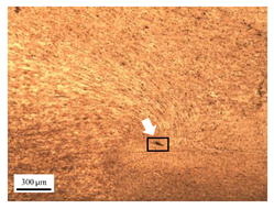 Materials 17 04447 i016