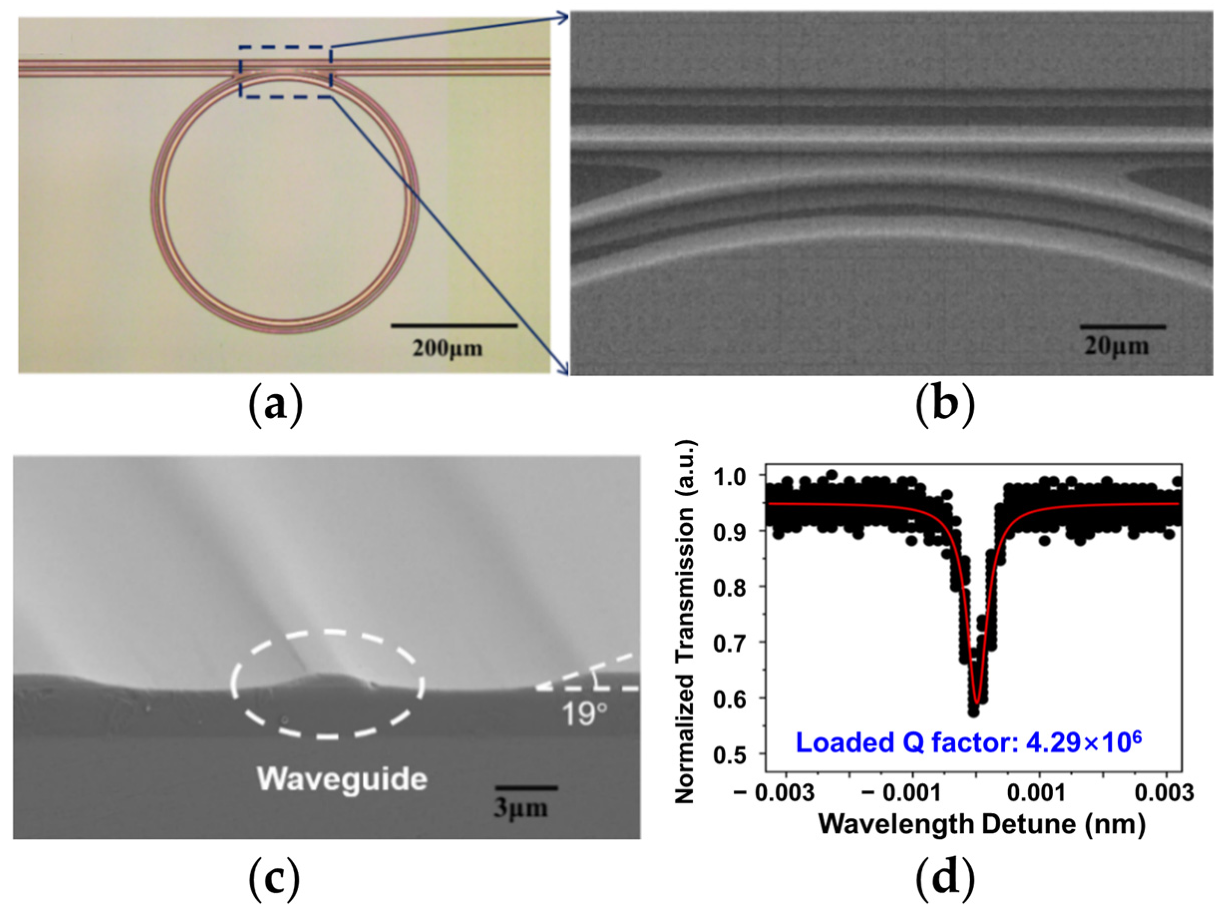 Materials 17 04453 g001 Materials 17 04453 g001