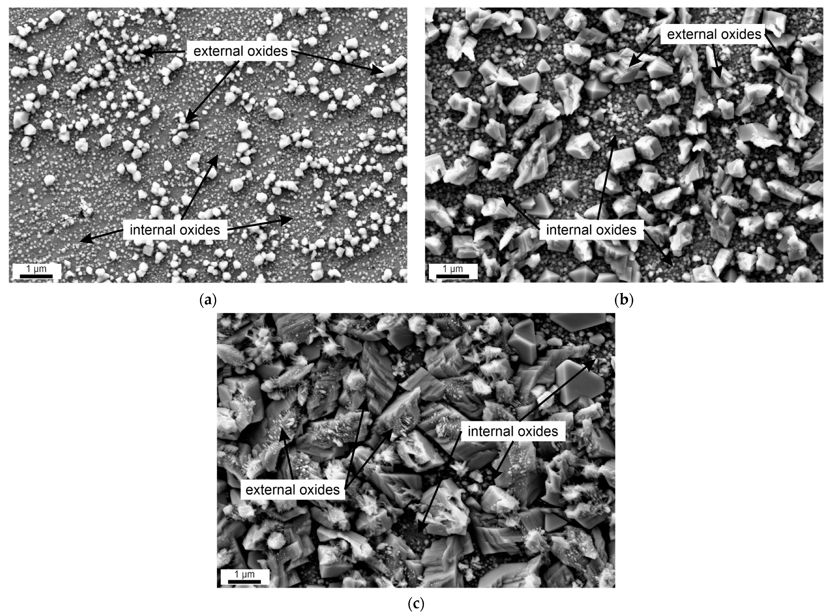 Materials 17 04500 g002