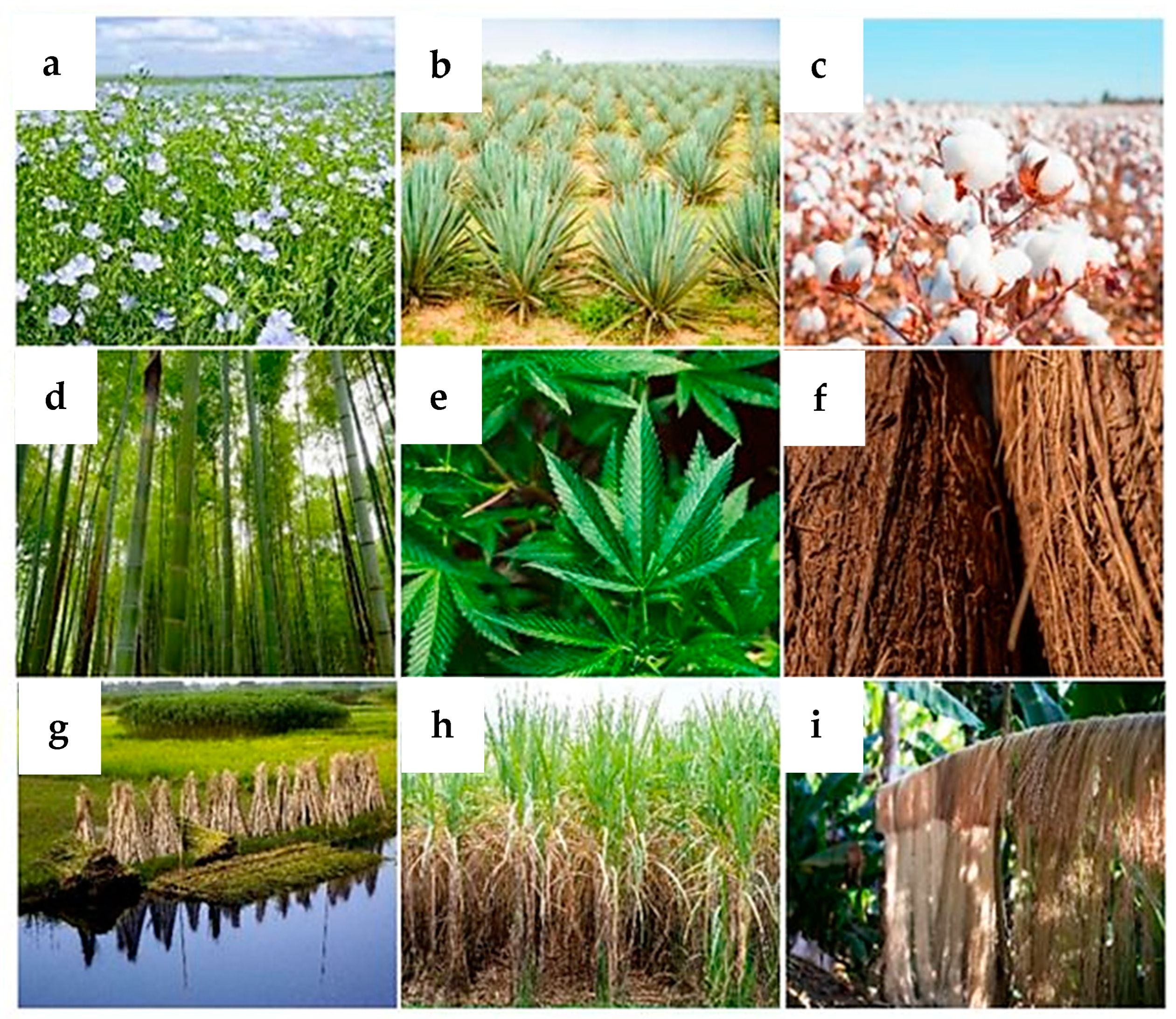 Materials 17 04503 g003