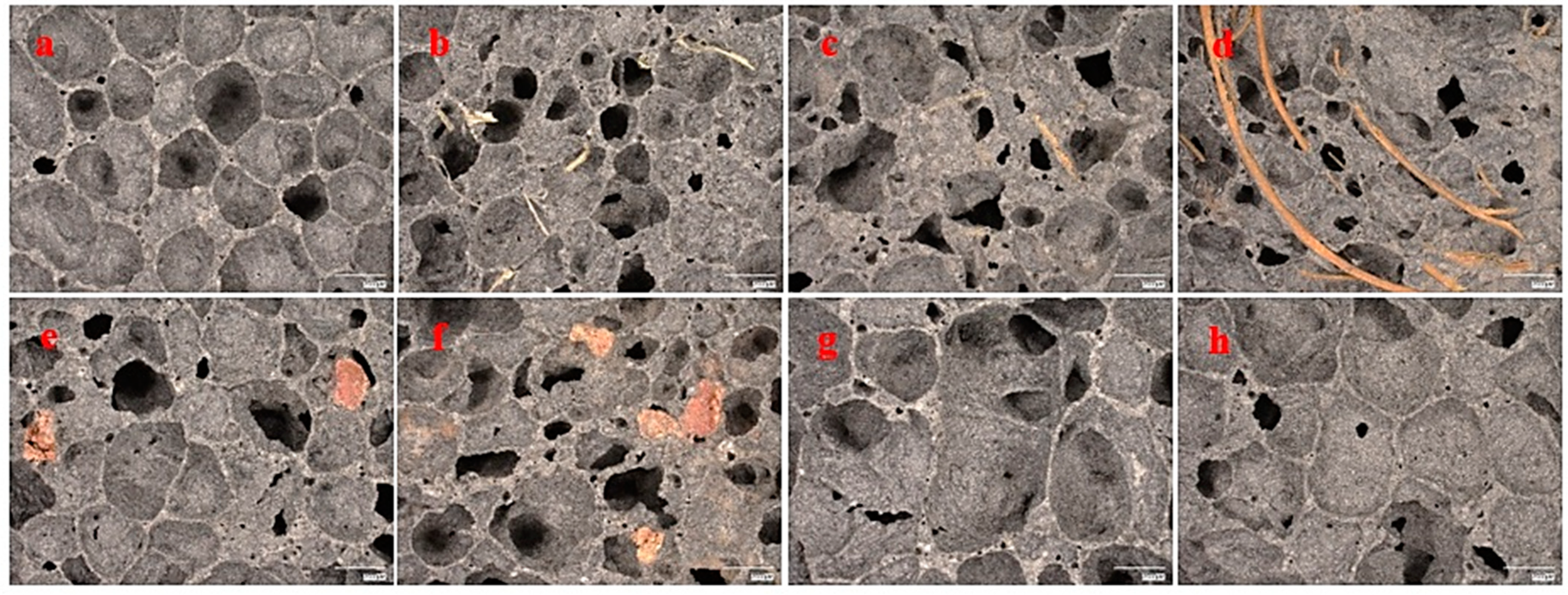 Materials 17 04503 g008