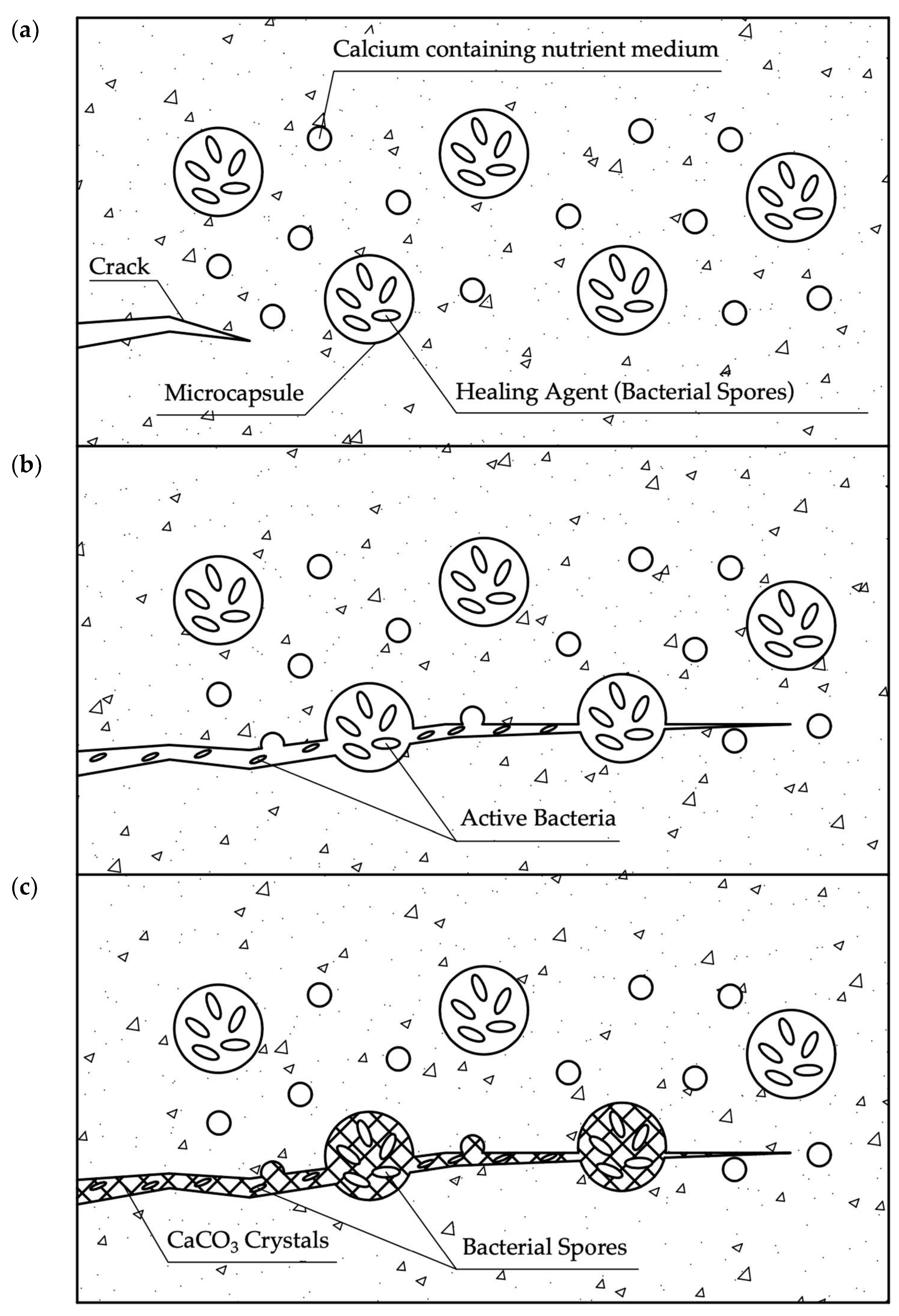 Materials 17 04508 g003