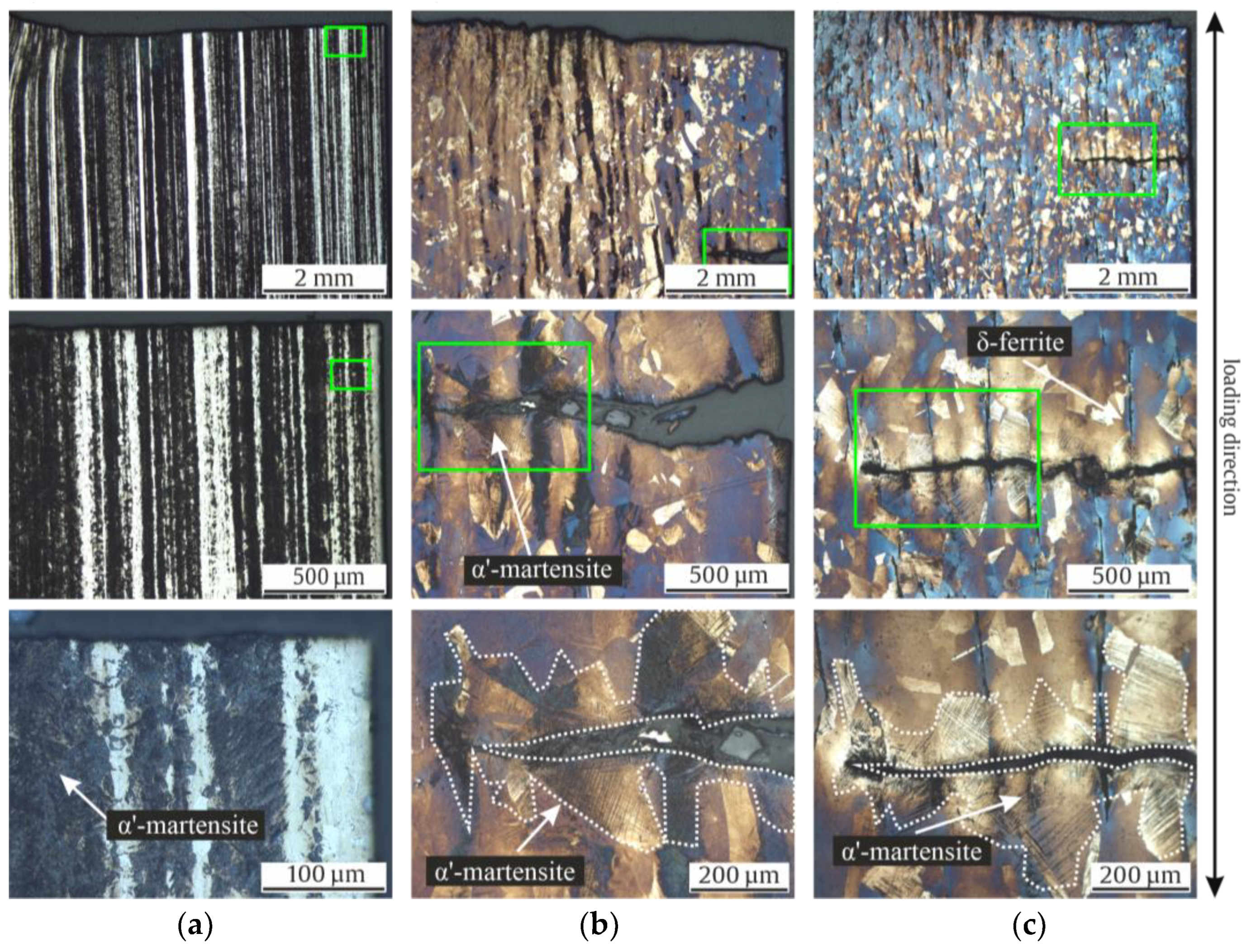 Materials 17 04543 g012 Materials 17 04543 g012