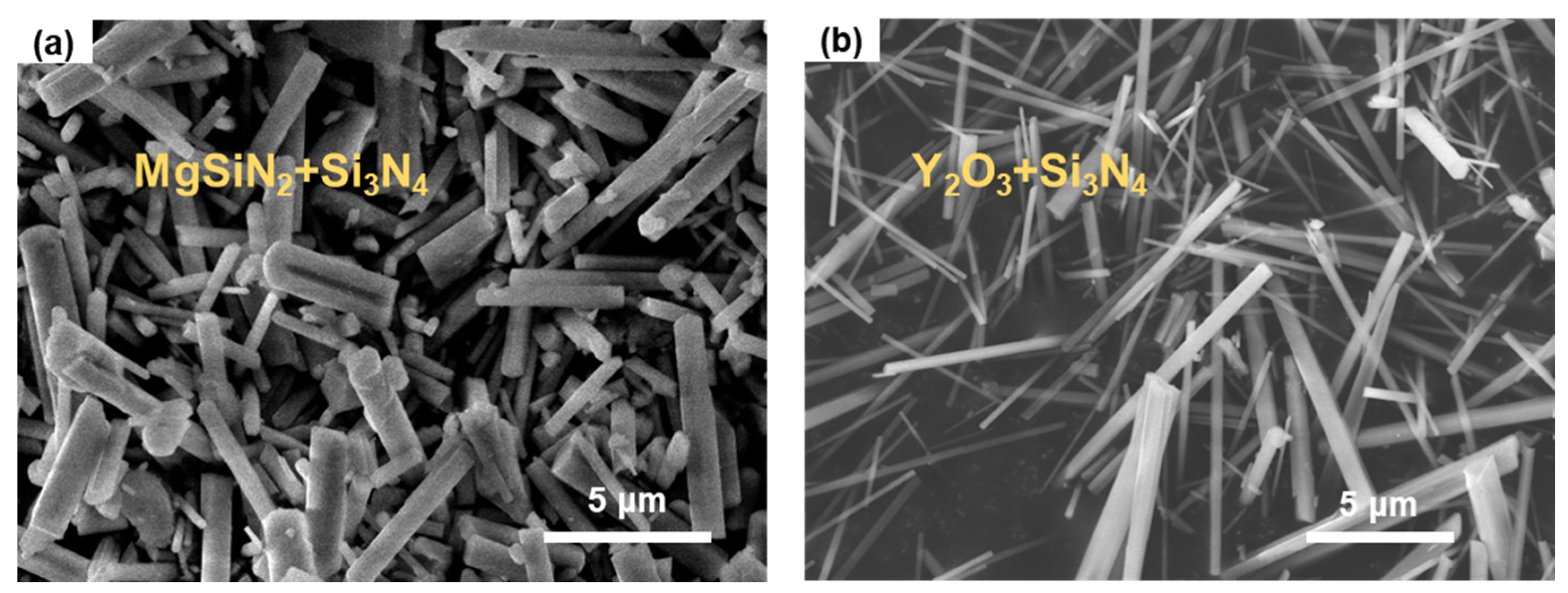 Materials 17 04549 g001