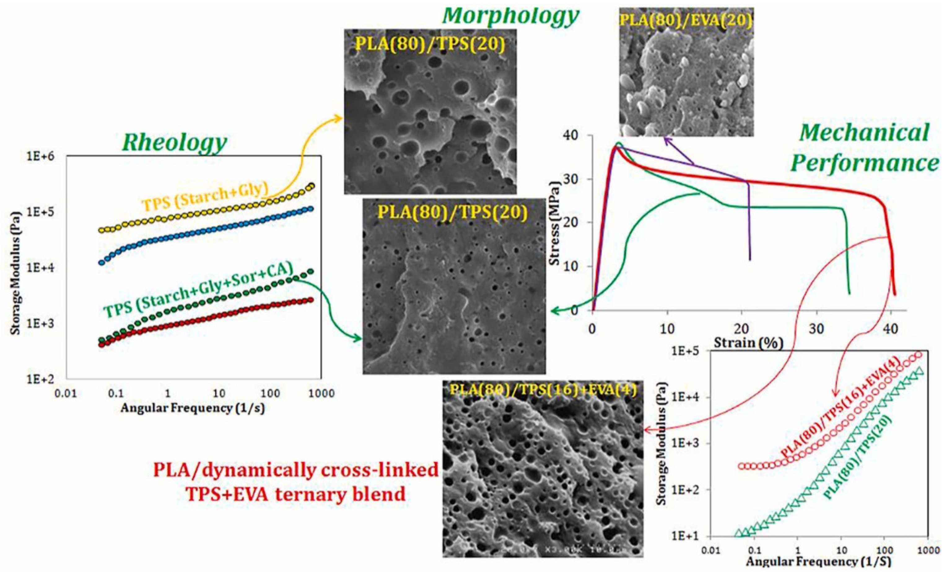 Materials 17 04556 g005 Materials 17 04556 g005