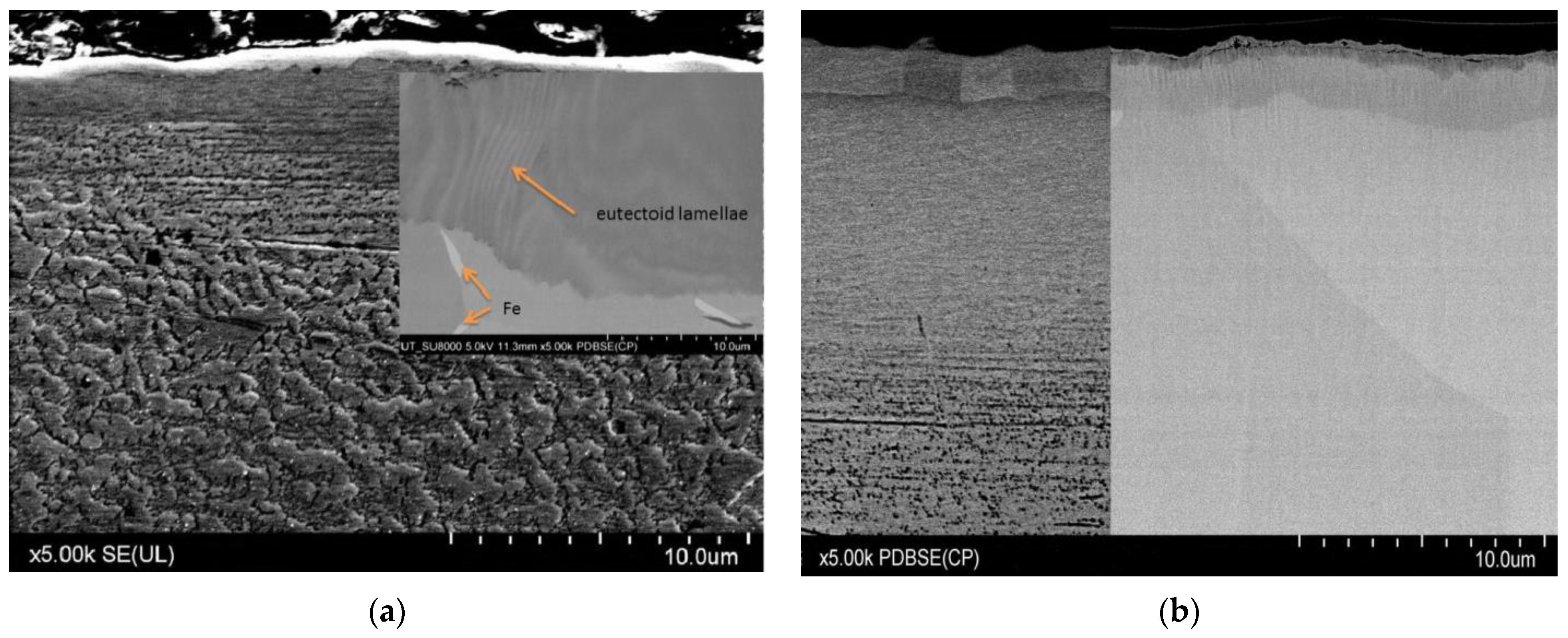 Materials 17 04592 g002