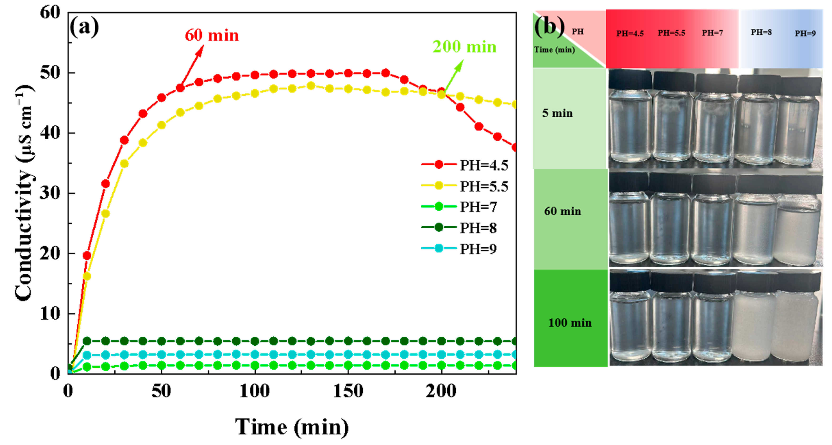 Materials 17 04594 g002