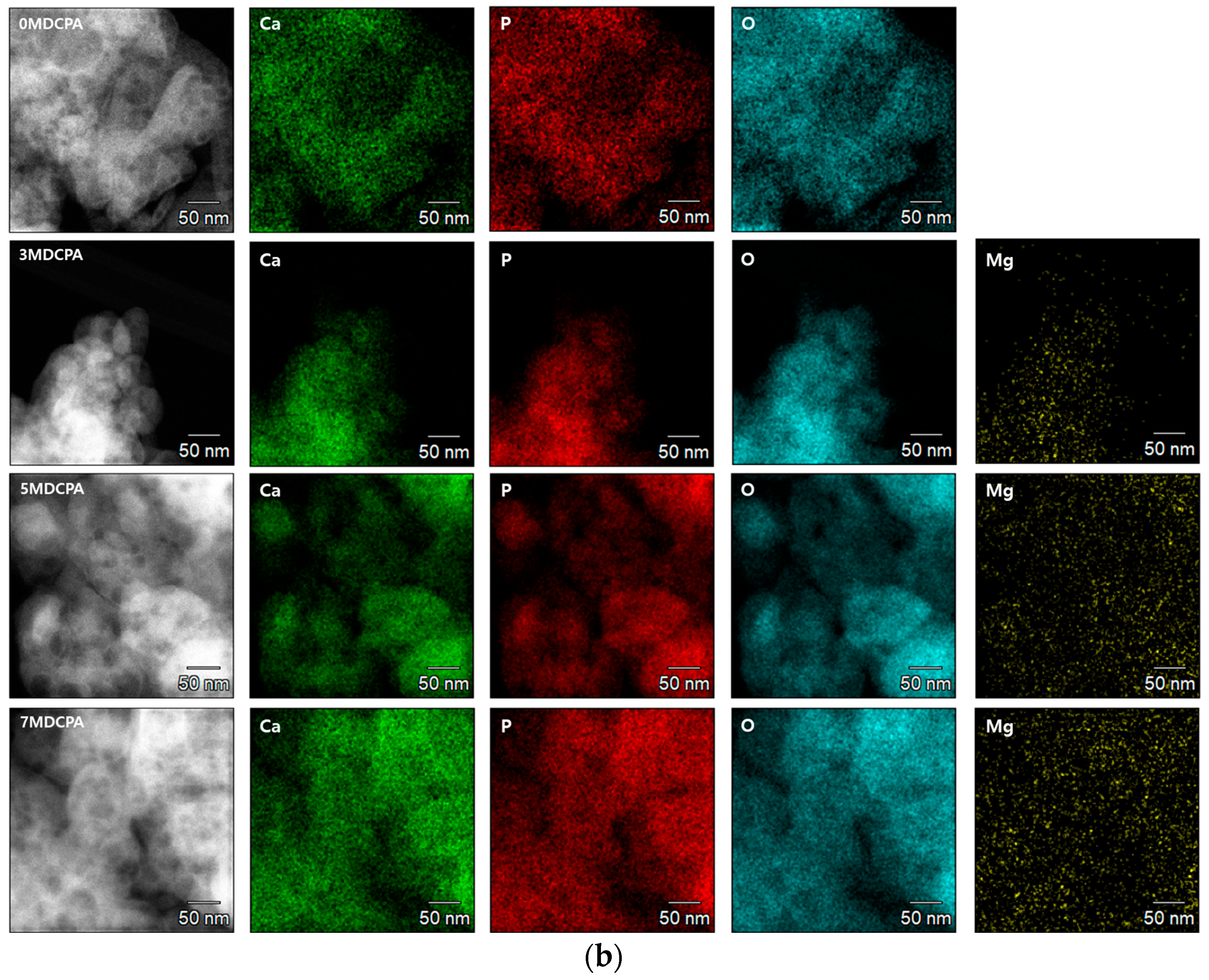 Materials 17 04605 g004b