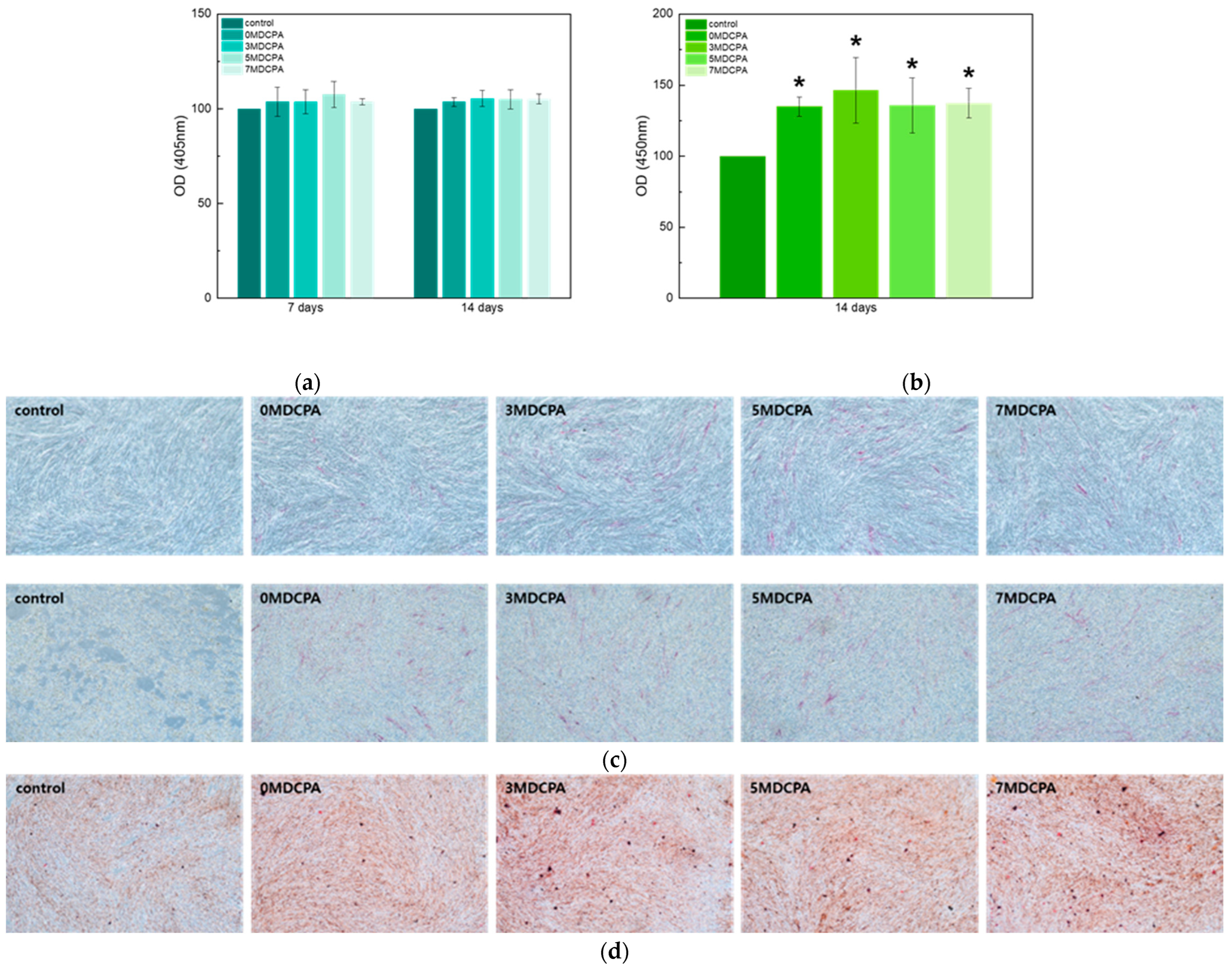 Materials 17 04605 g009