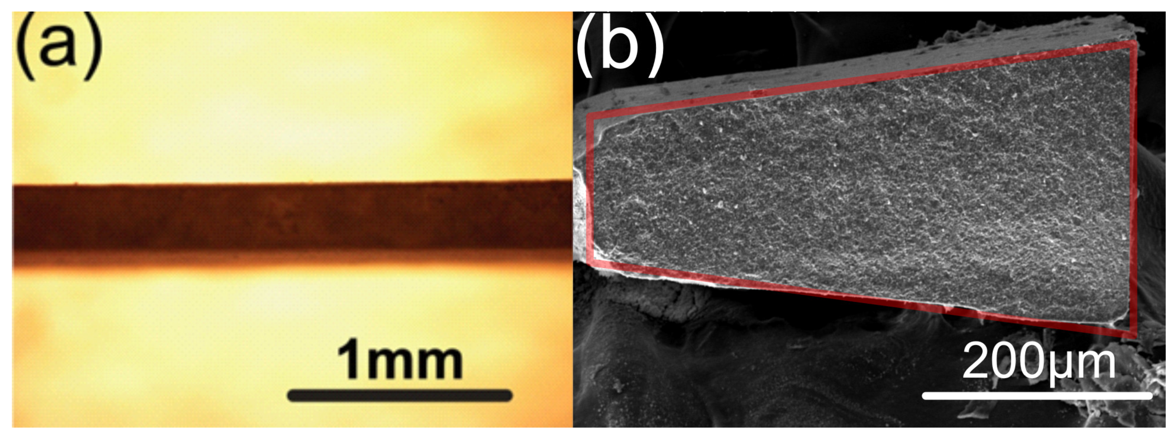 Materials 17 04636 g005