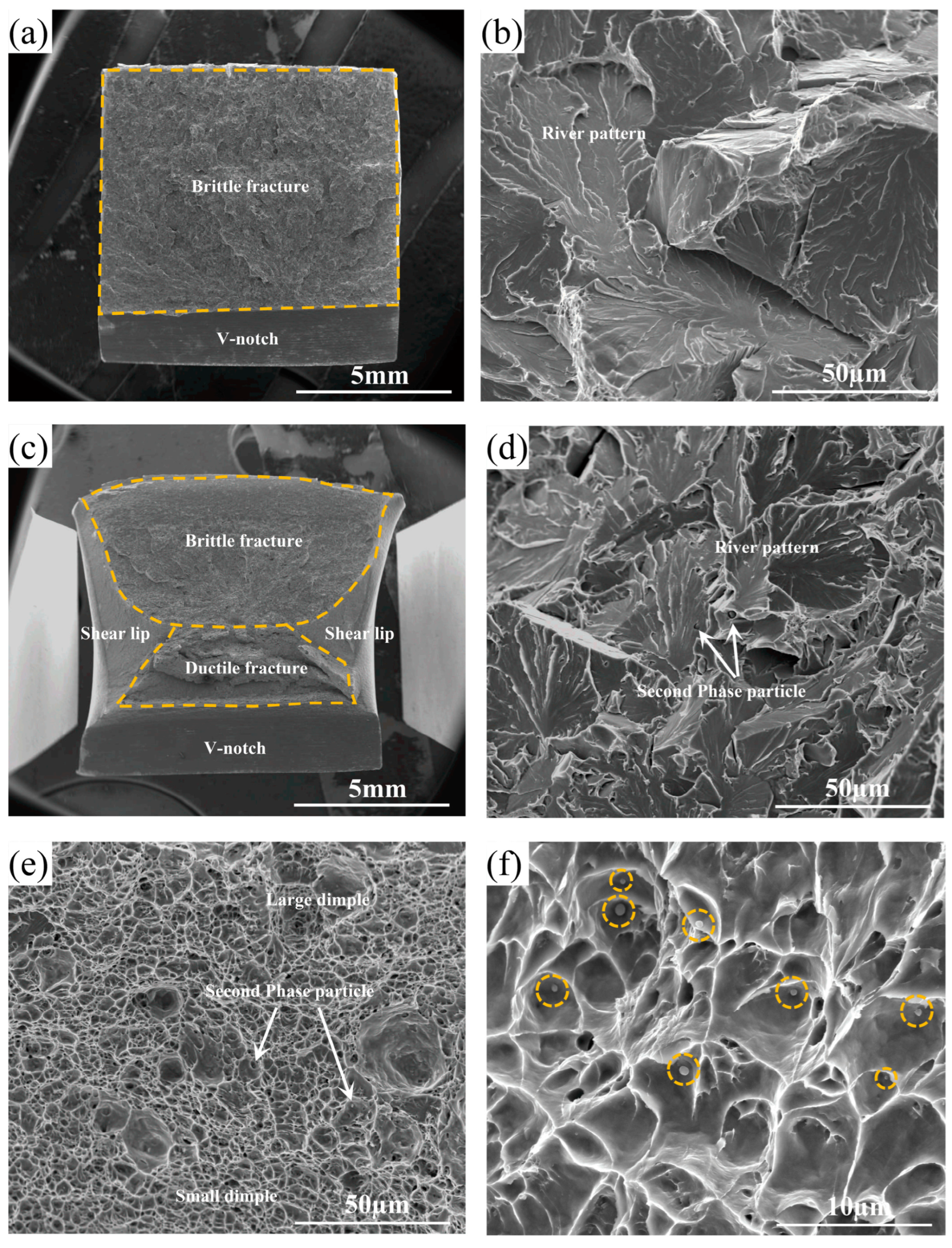 Materials 17 04644 g005
