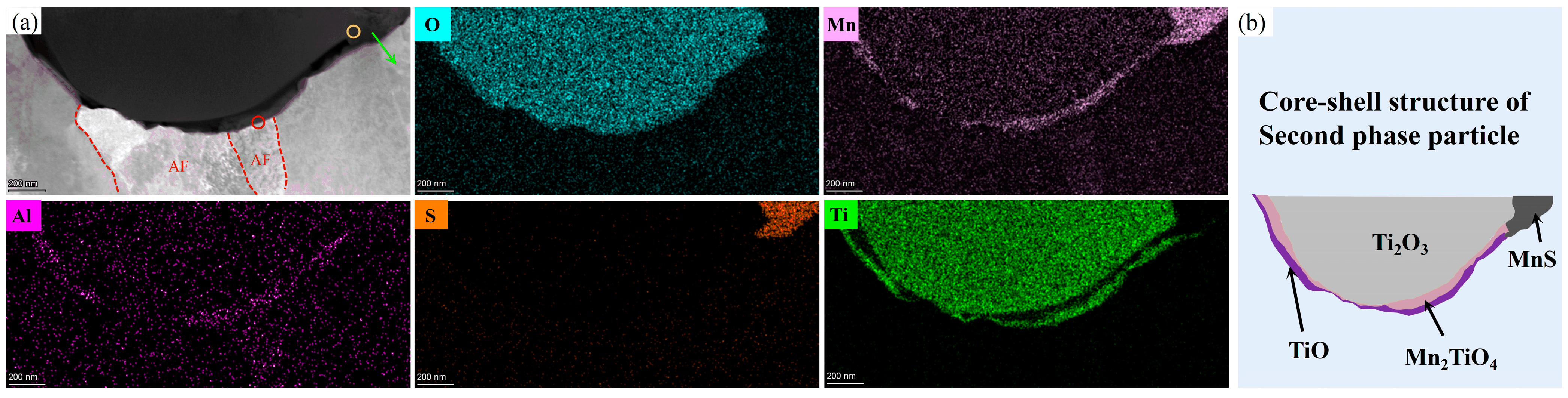 Materials 17 04644 g008