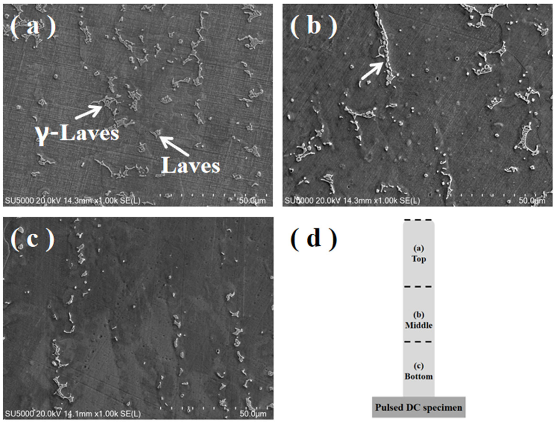 Materials 17 04649 g007