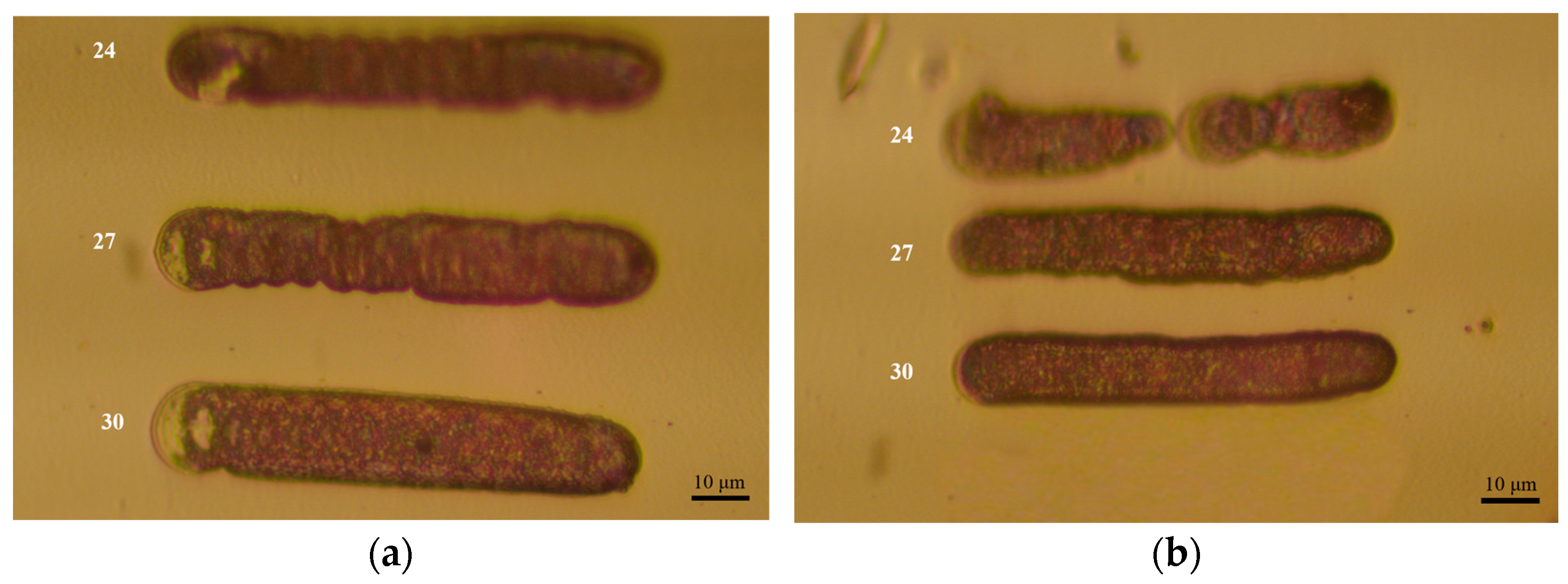 Materials 17 04650 g010