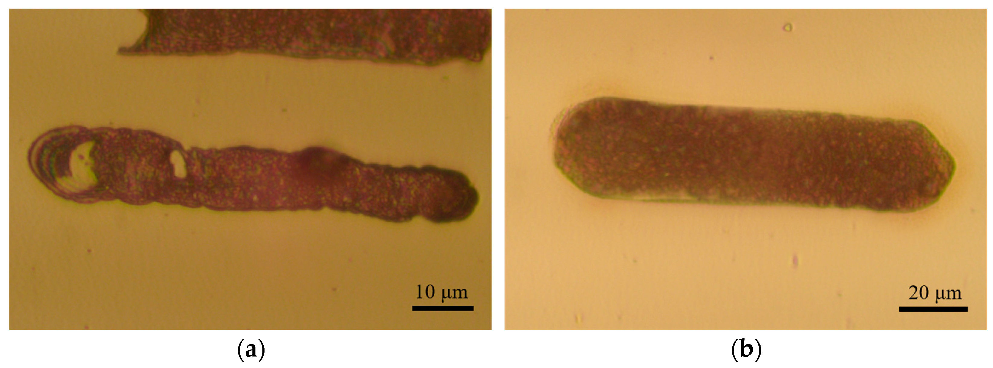 Materials 17 04650 g012