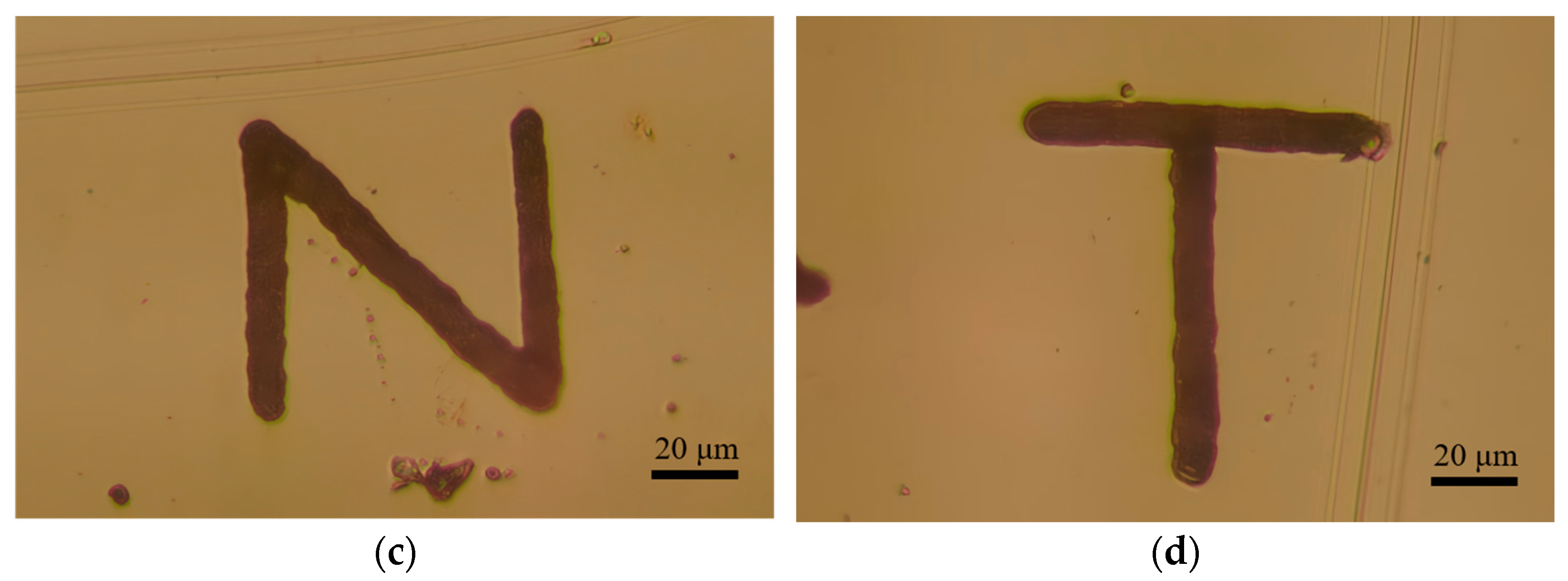 Materials 17 04650 g013b