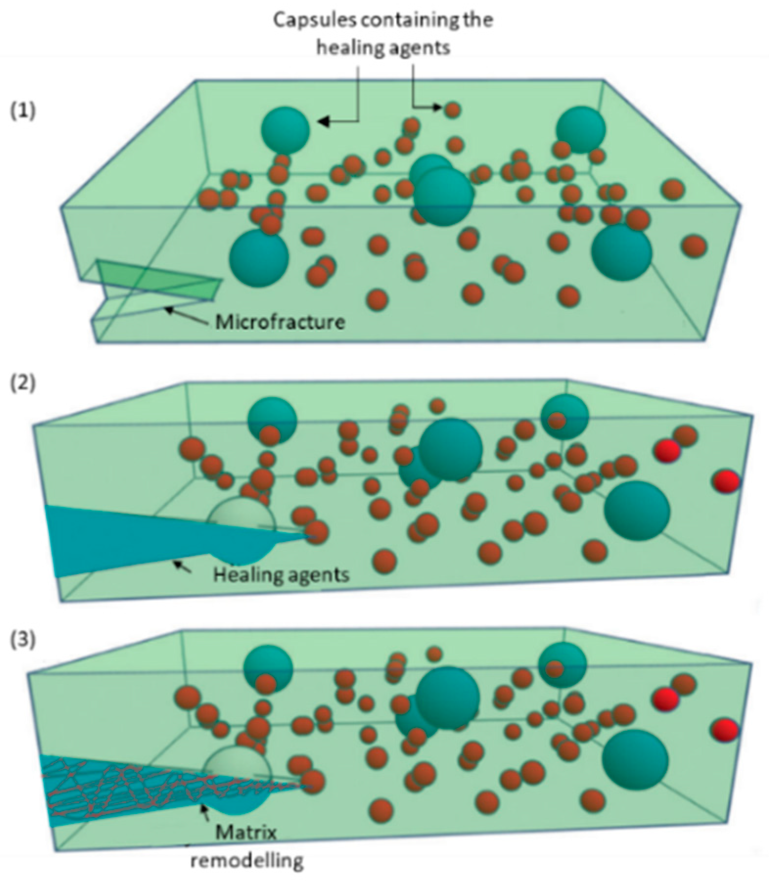 Materials 17 04681 g003