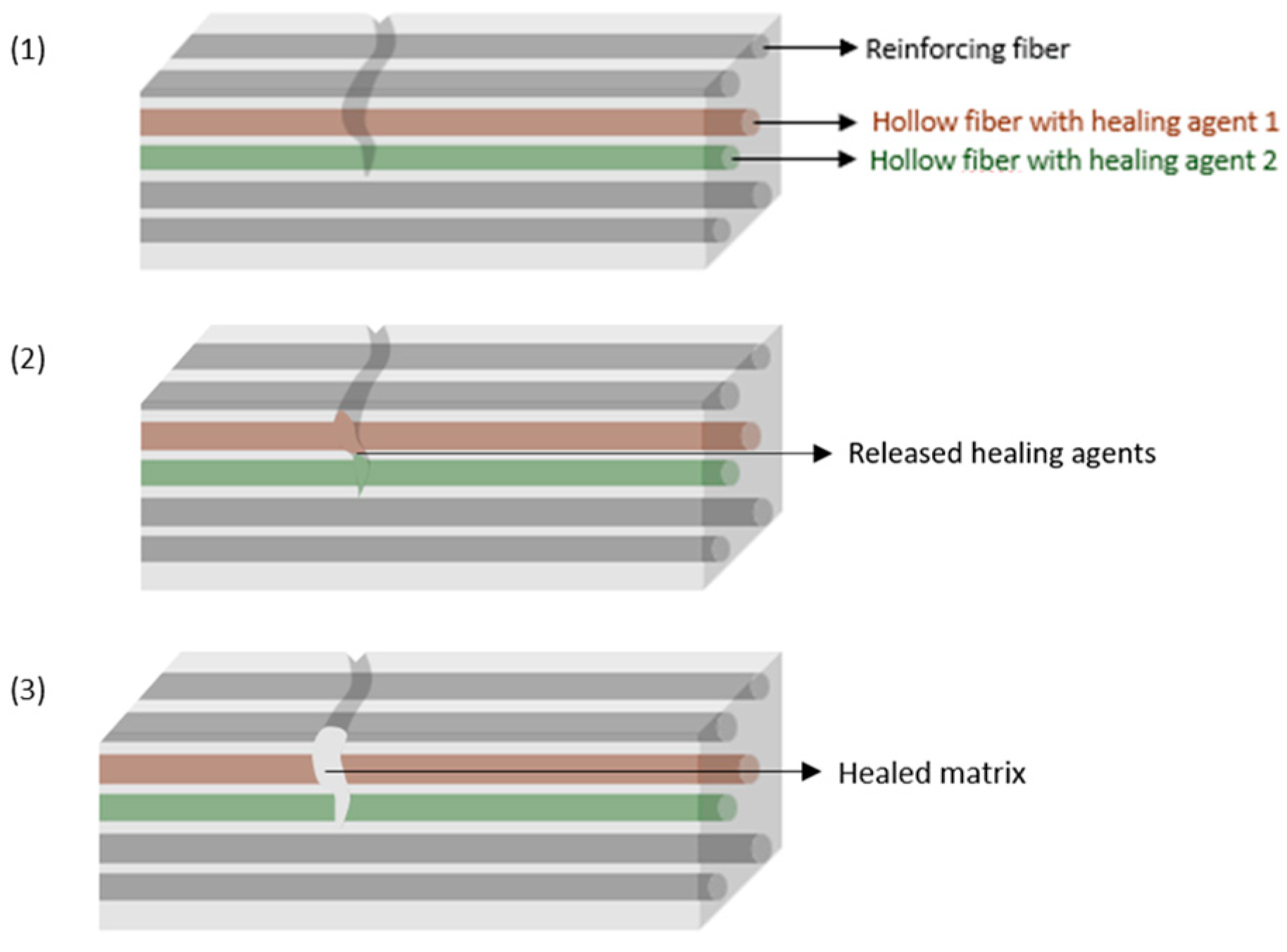 Materials 17 04681 g004