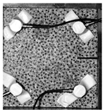 Materials 17 04684 i001